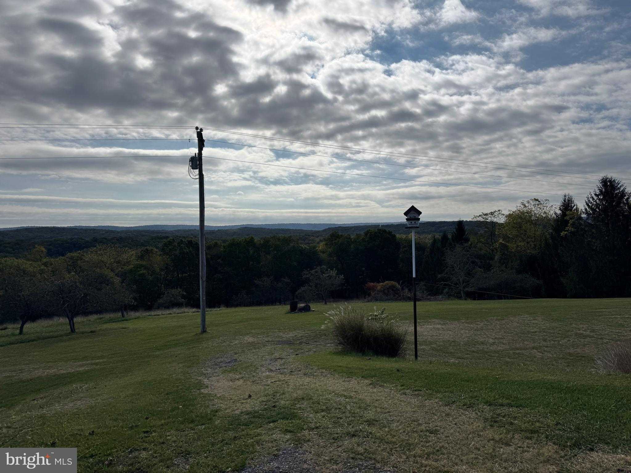 13677 Piney Ridge Rd photo 32