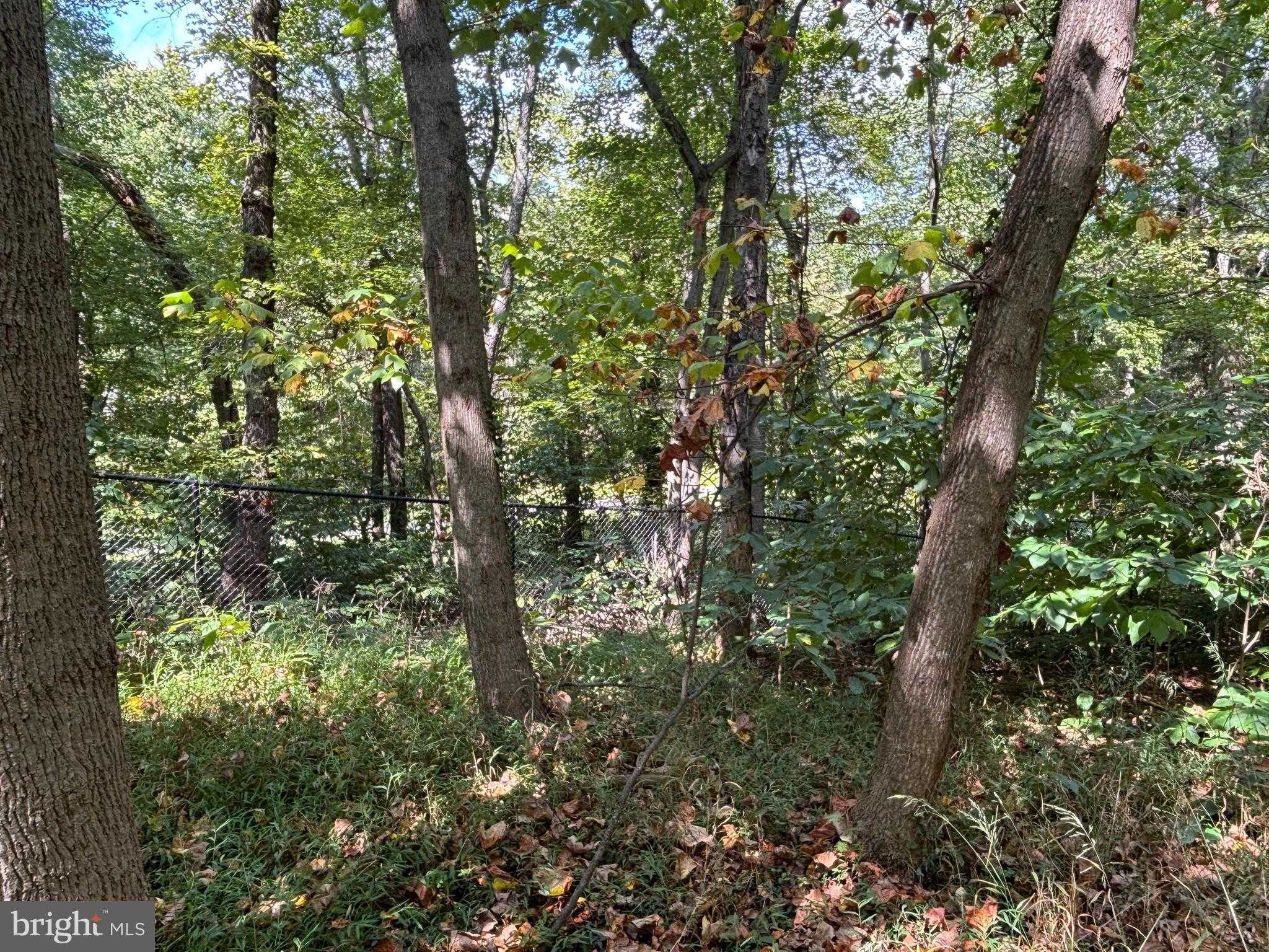 10807 Riverview Rd photo 3