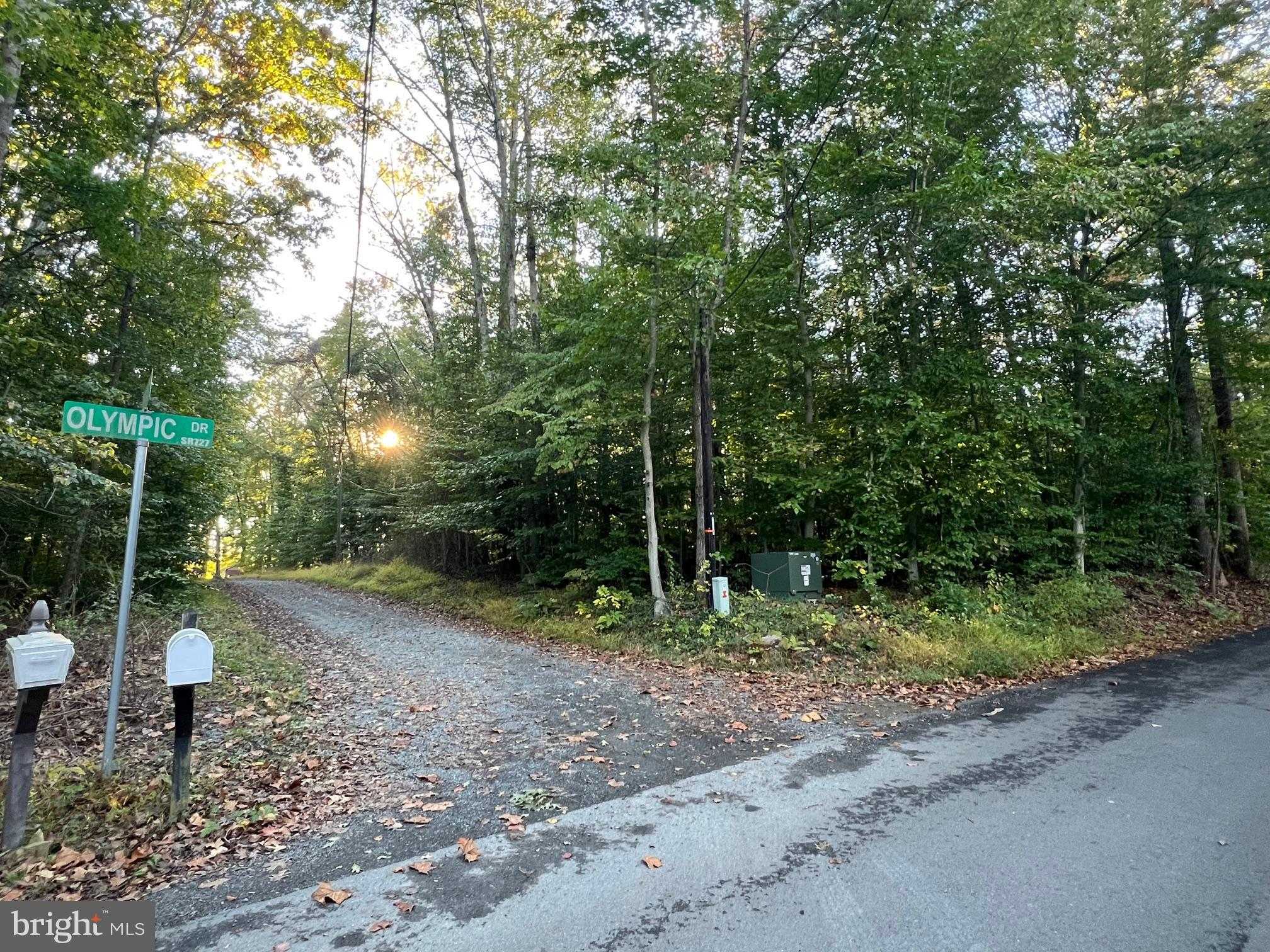 8125 Pappas Dr photo 7