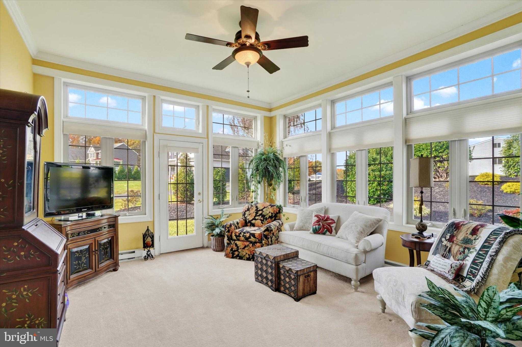 10 Azalea Dr photo 18