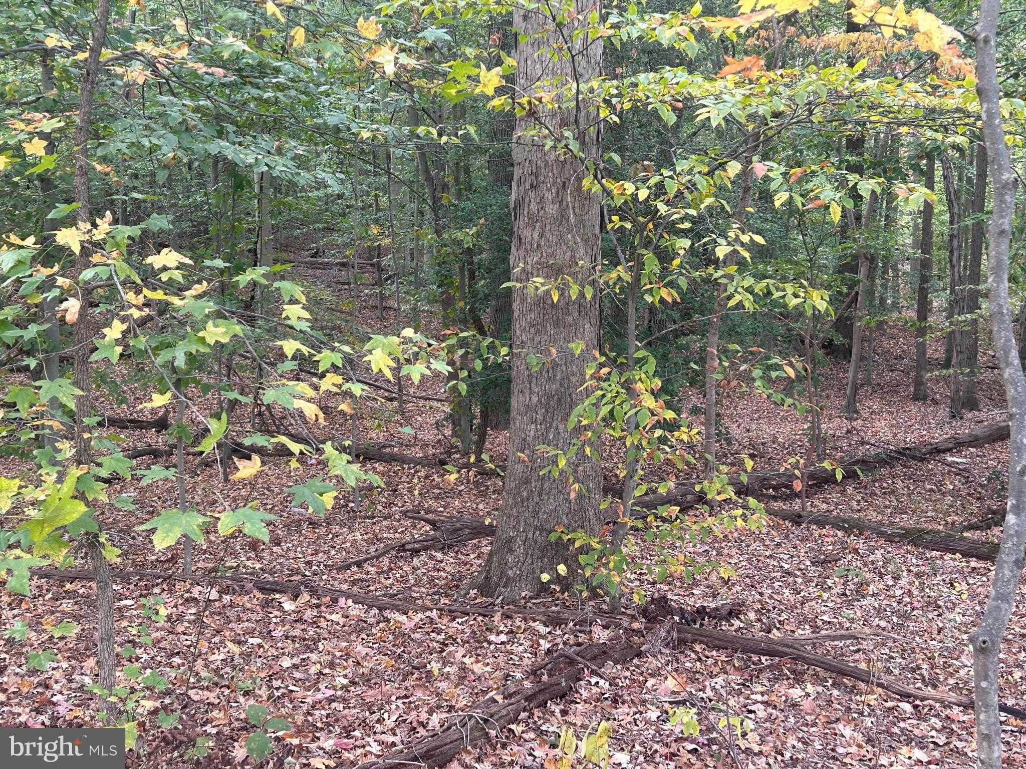 Prince Georges Dr photo 8