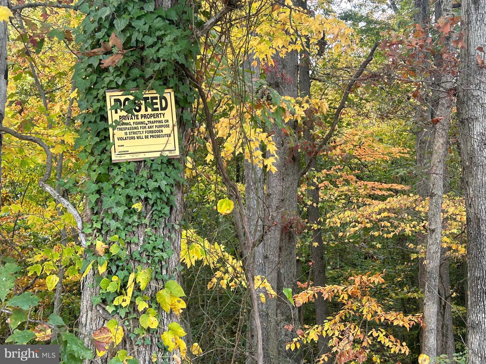 Prince Georges Dr photo 2