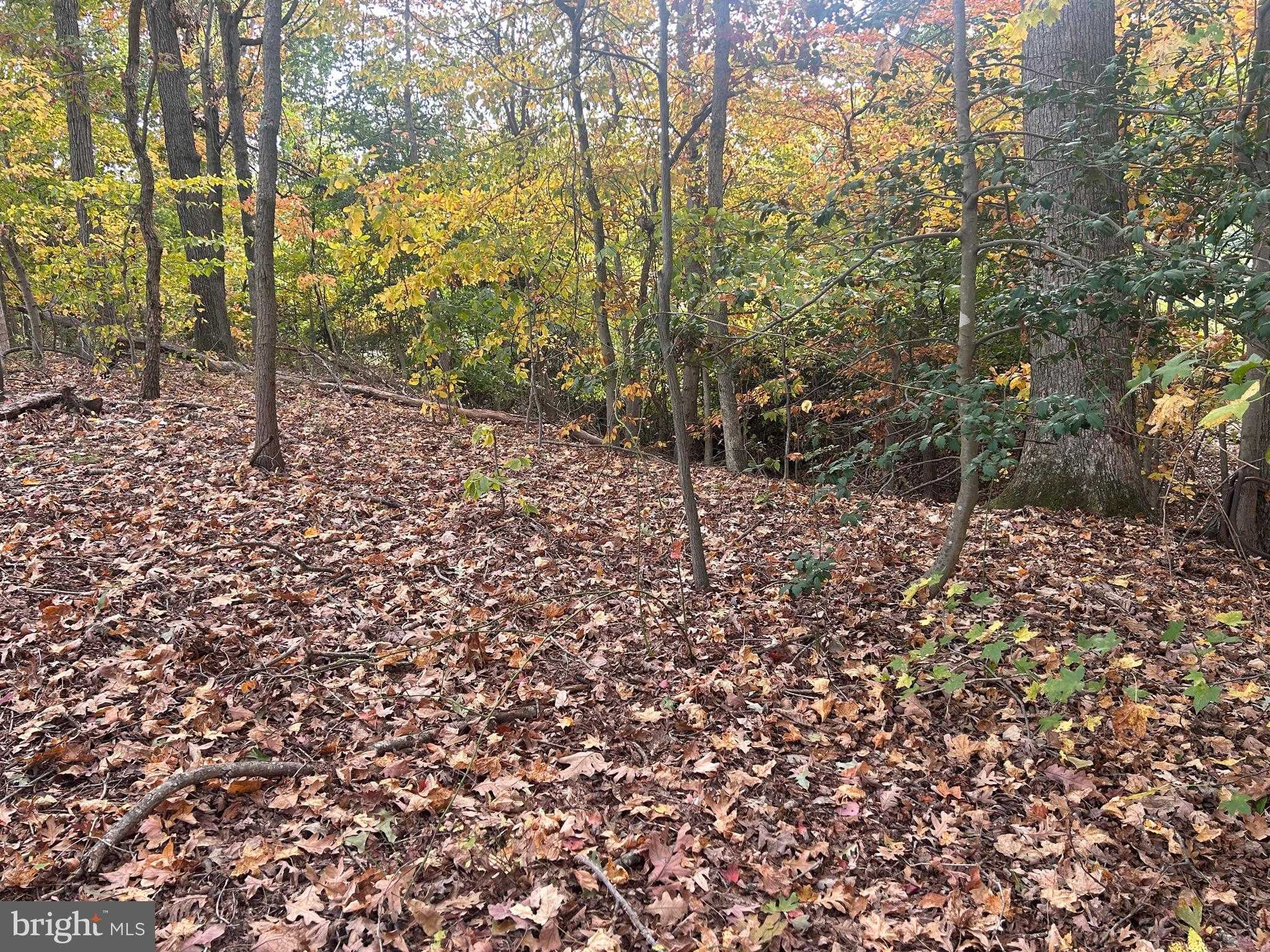 Prince Georges Dr photo 4