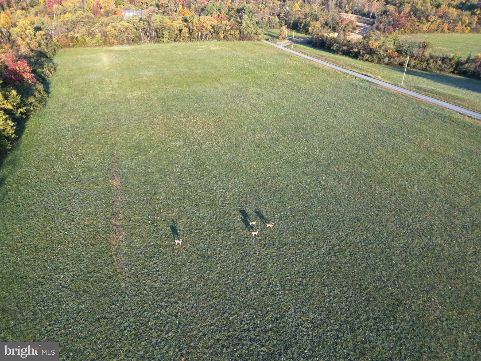 N Frederick Pike photo 15