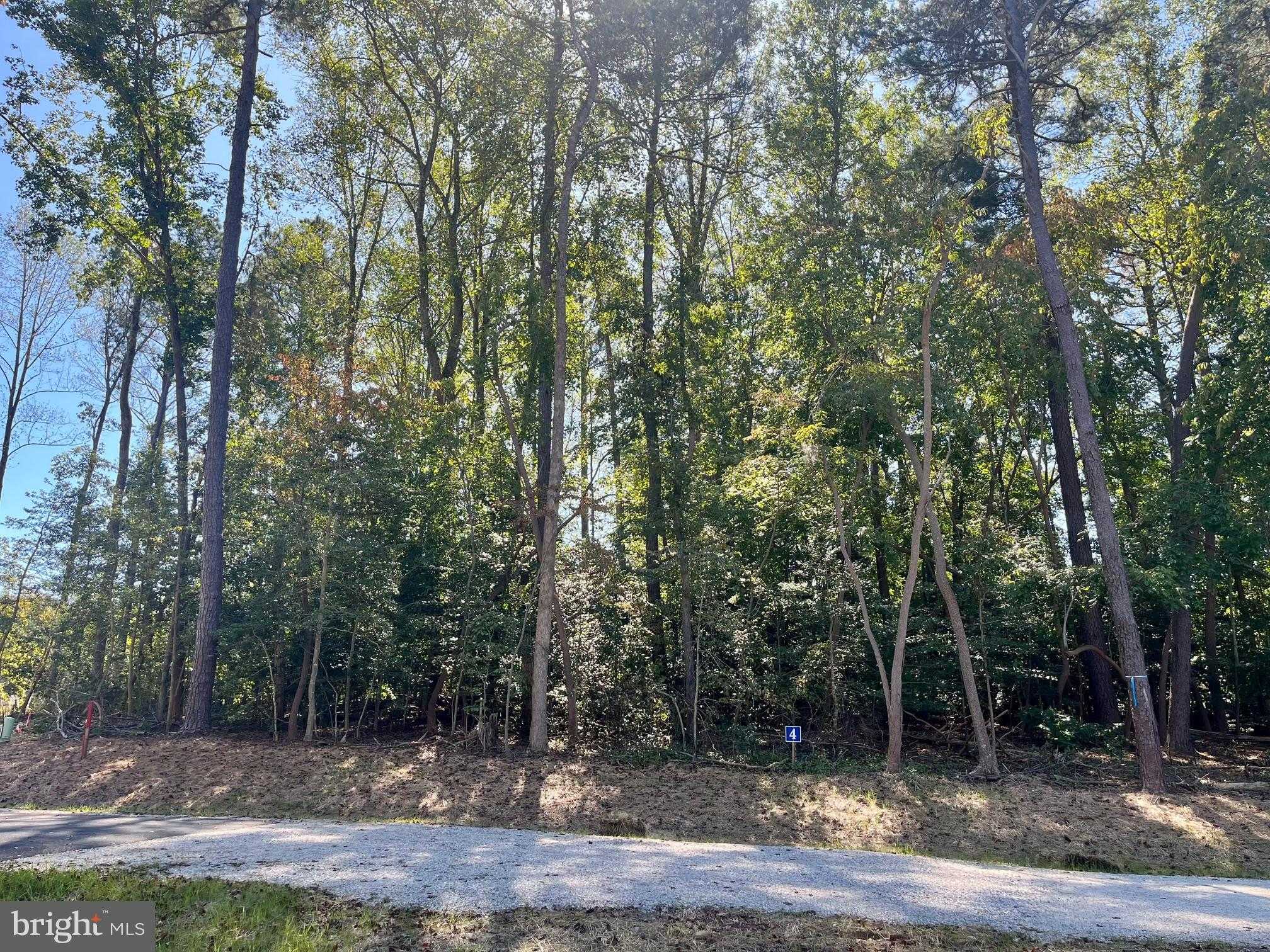 5349 Ridgewood Hills Dr photo 2