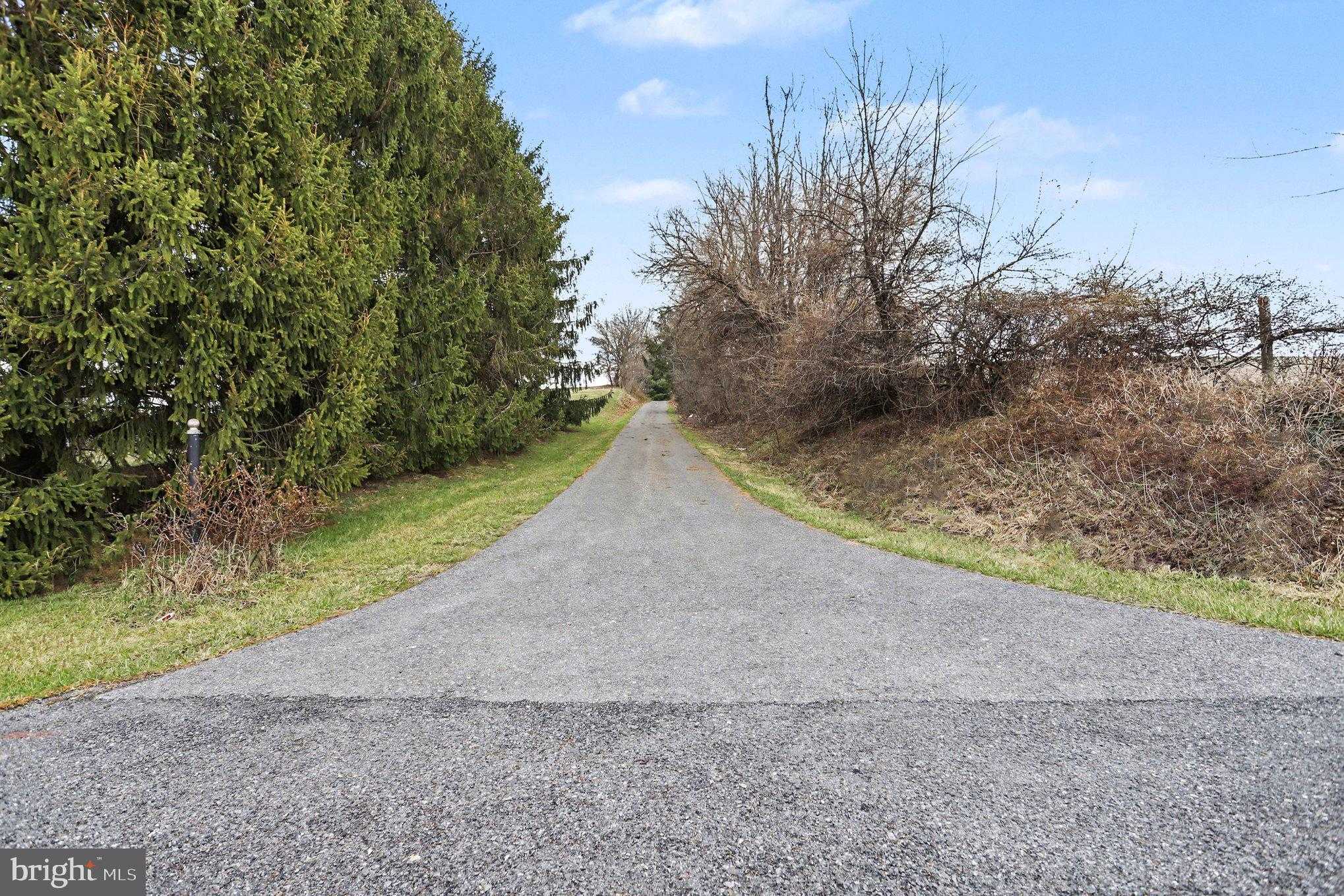 10301 Mckinstry Mill Rd photo 31