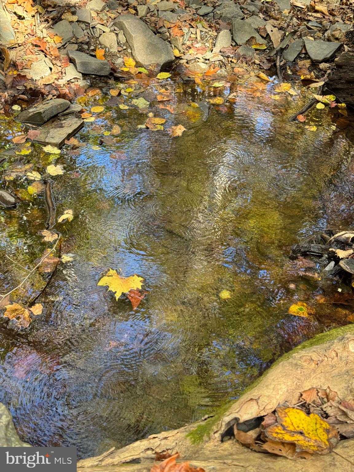 961 Almost Heaven Dr photo 9