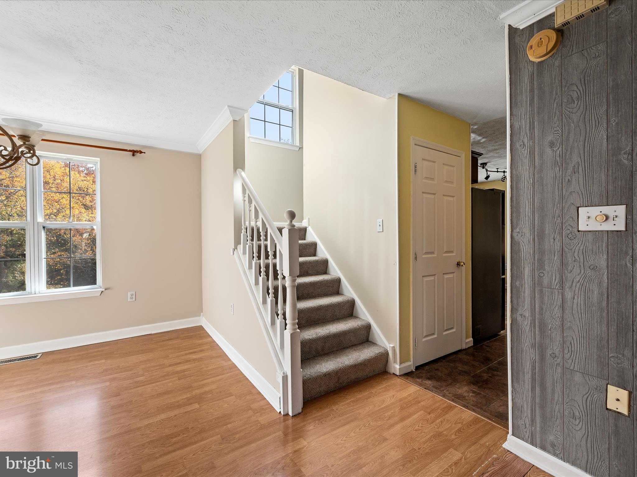 144 Morning Glory Dr photo 18