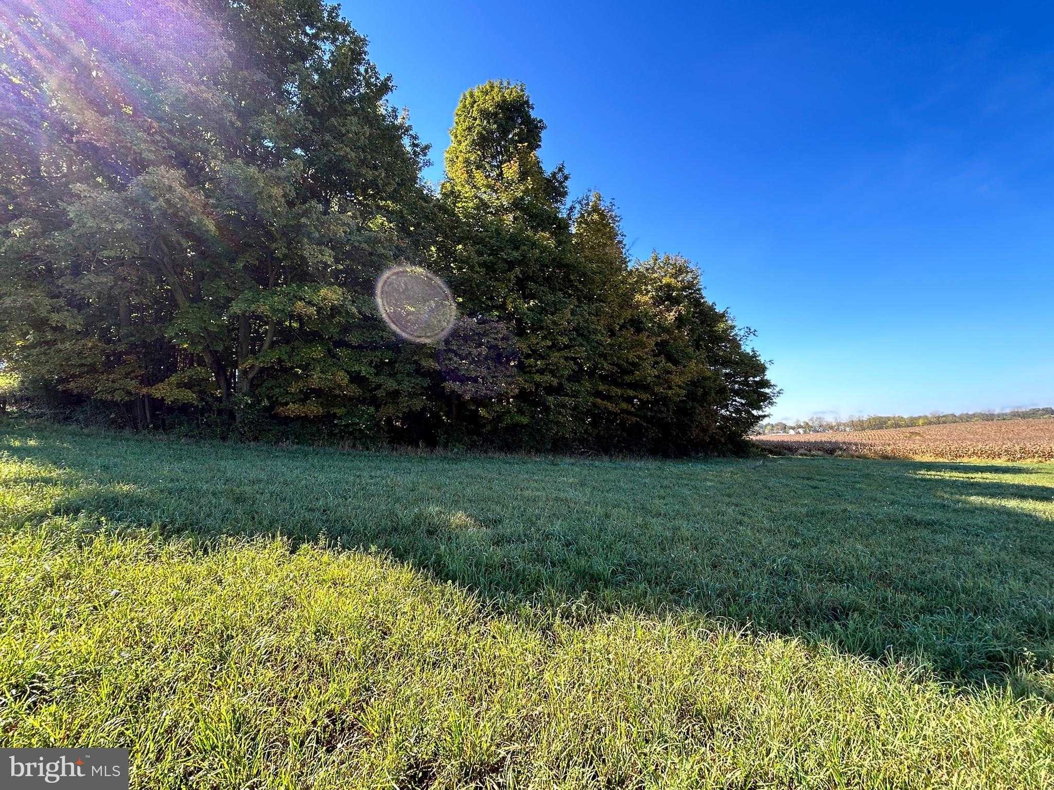 Linden Hall Rd photo 20