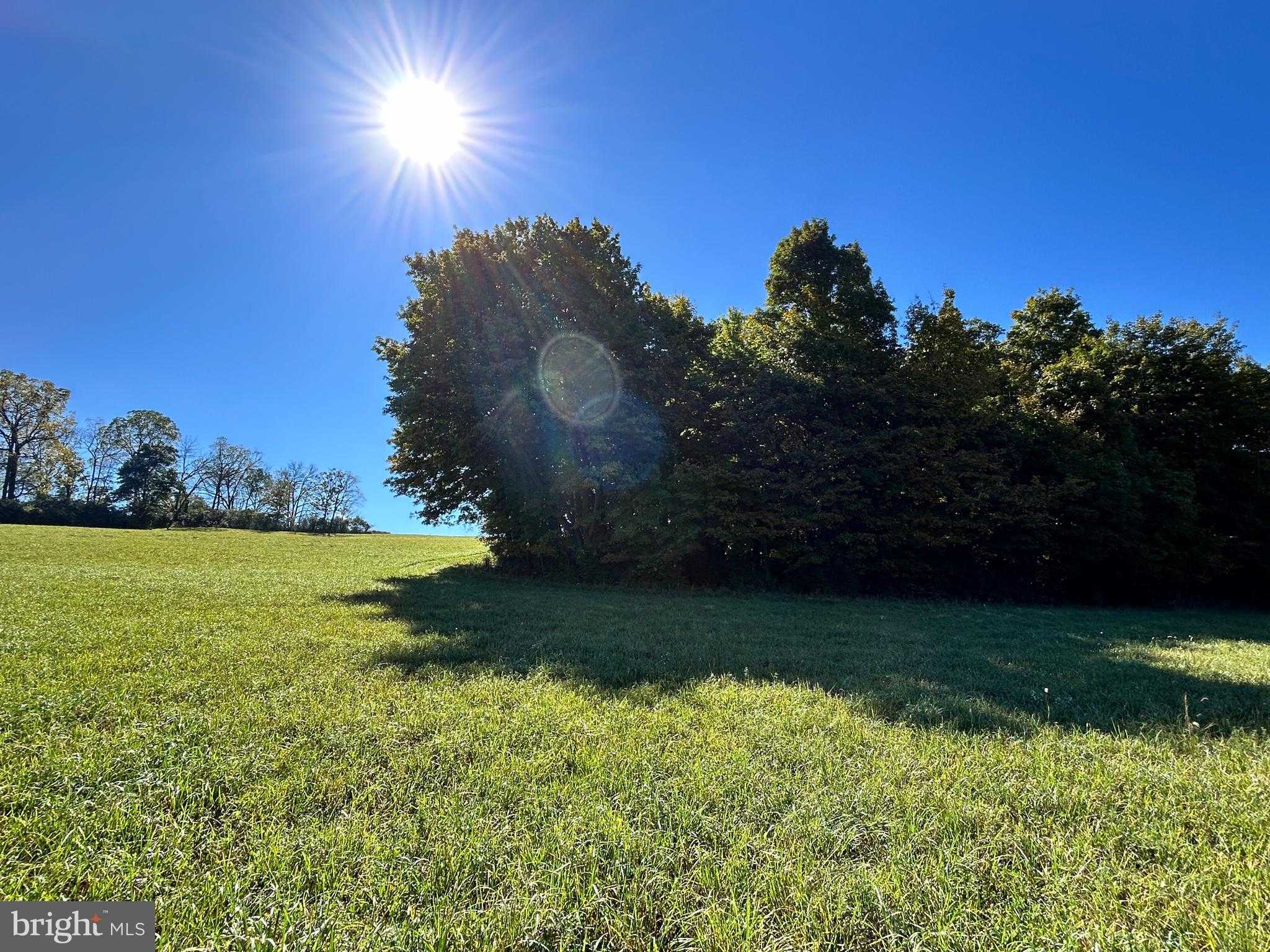 Linden Hall Rd photo 18