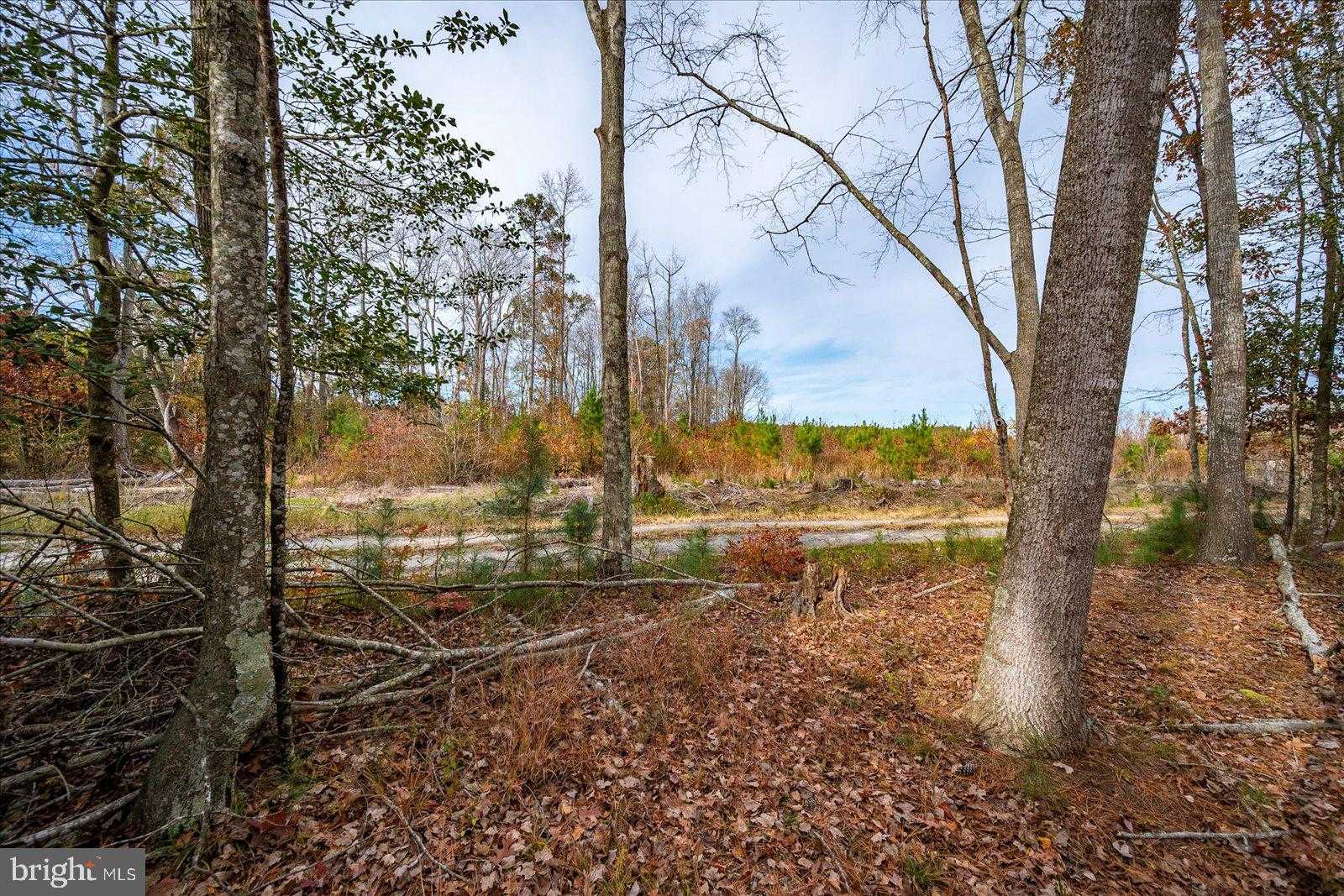 729 Snow Hill Rd photo 40