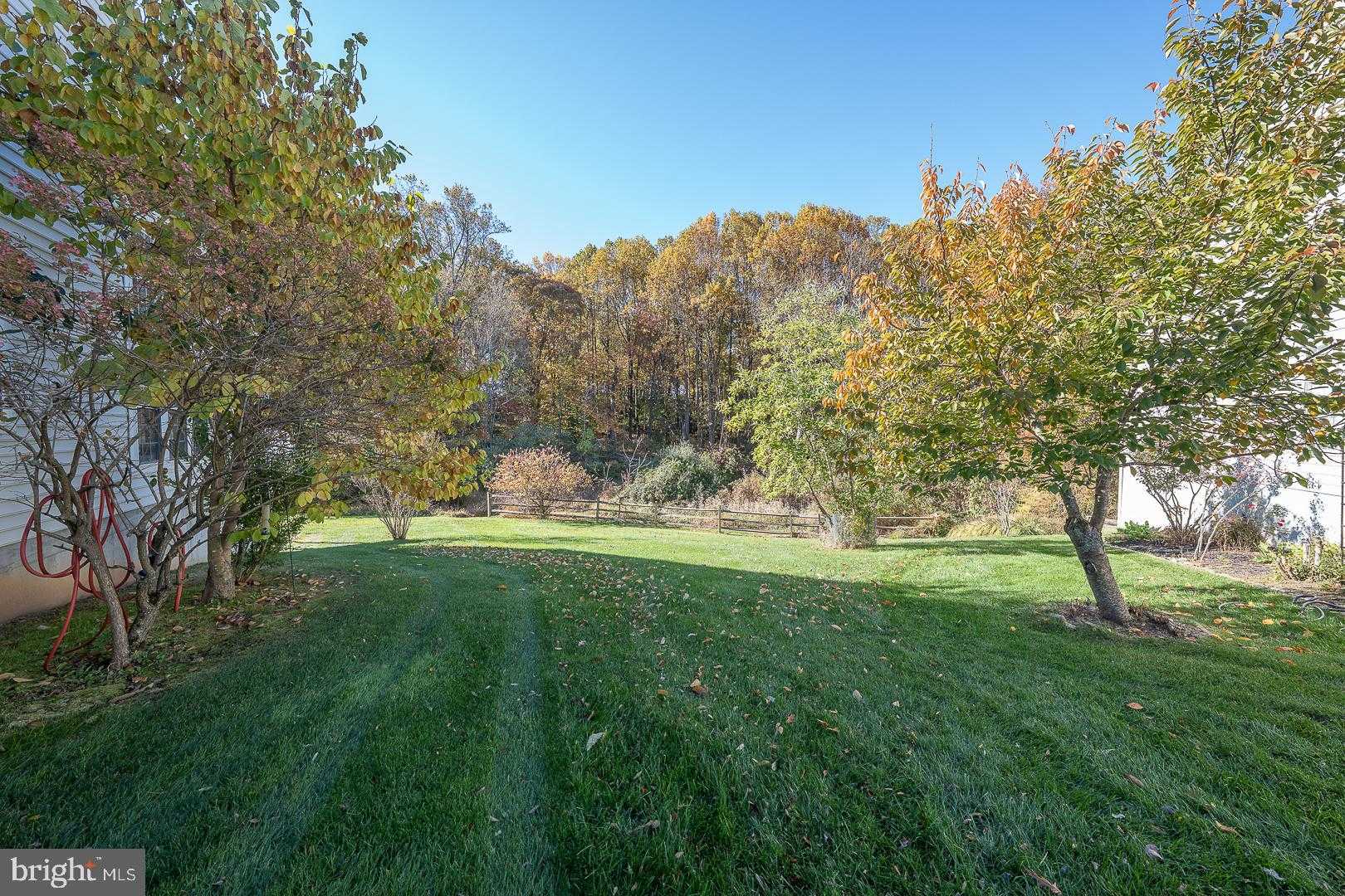 347 Astilbe Dr photo 51