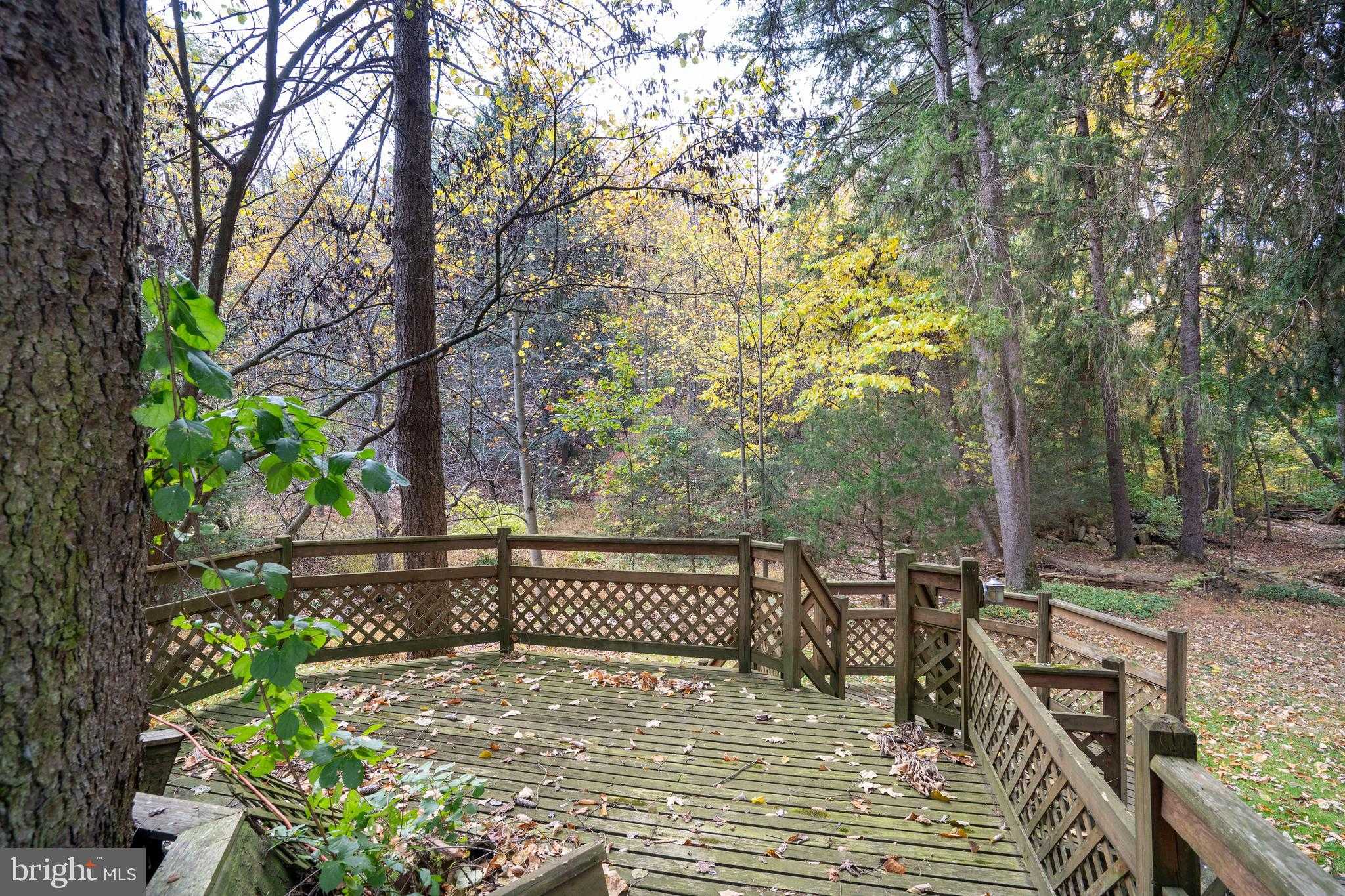 9980 Douglas Rd photo 35