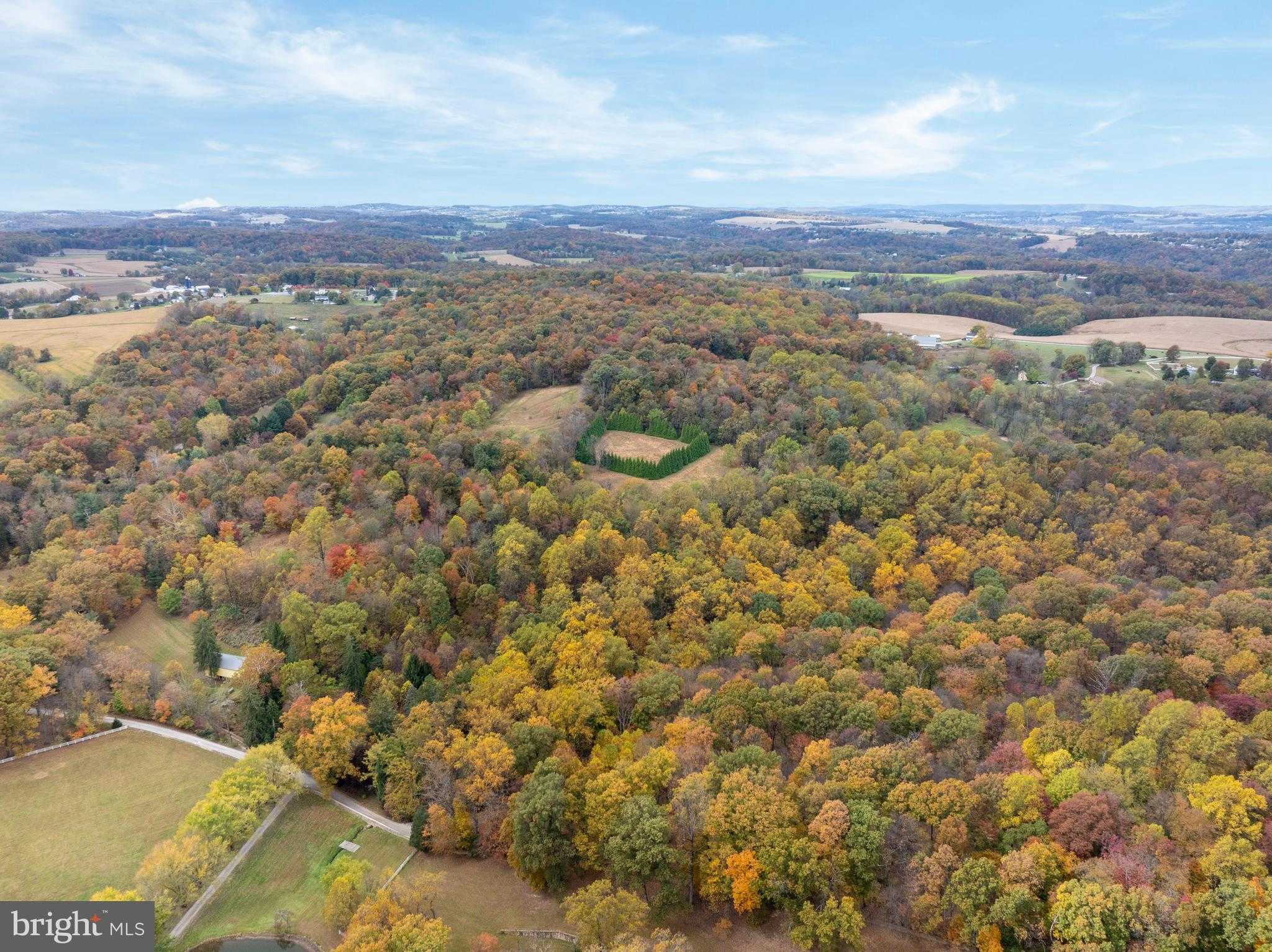 9980 Douglas Rd photo 9