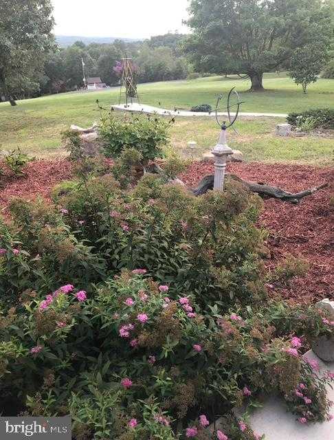 250 Forest Dr photo 4