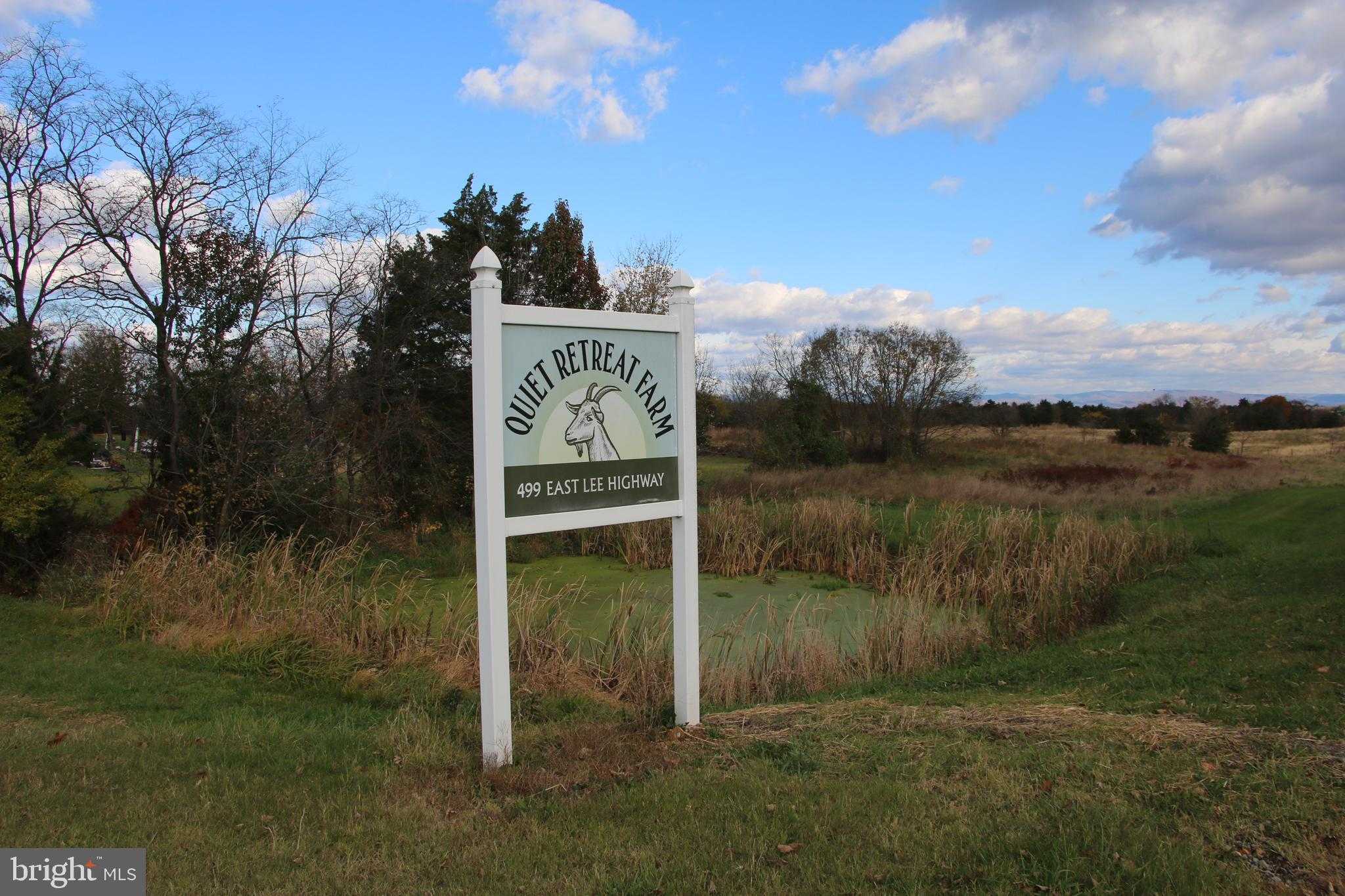 499 E Lee Hwy photo 5