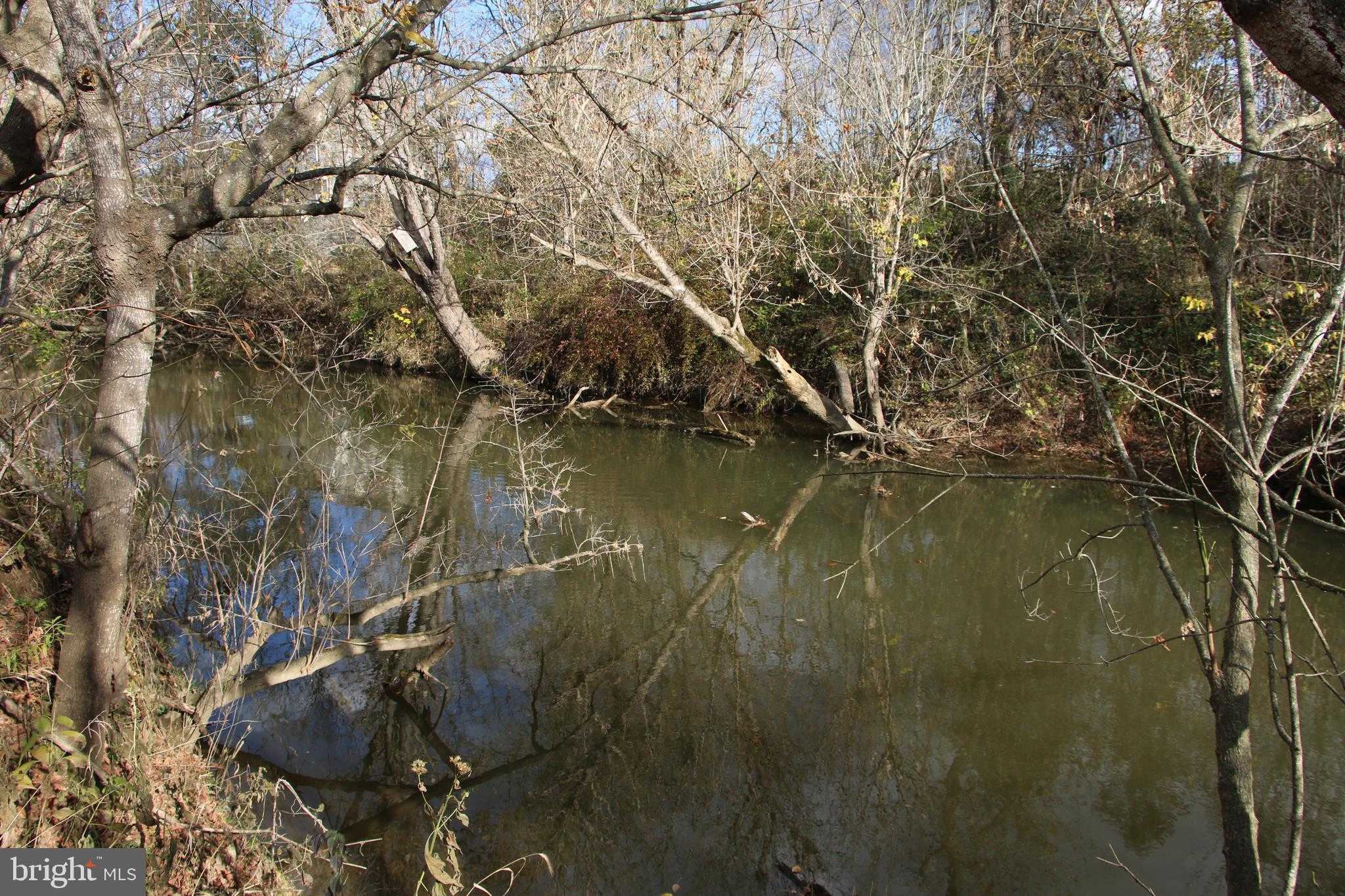 499 E Lee Hwy photo 57