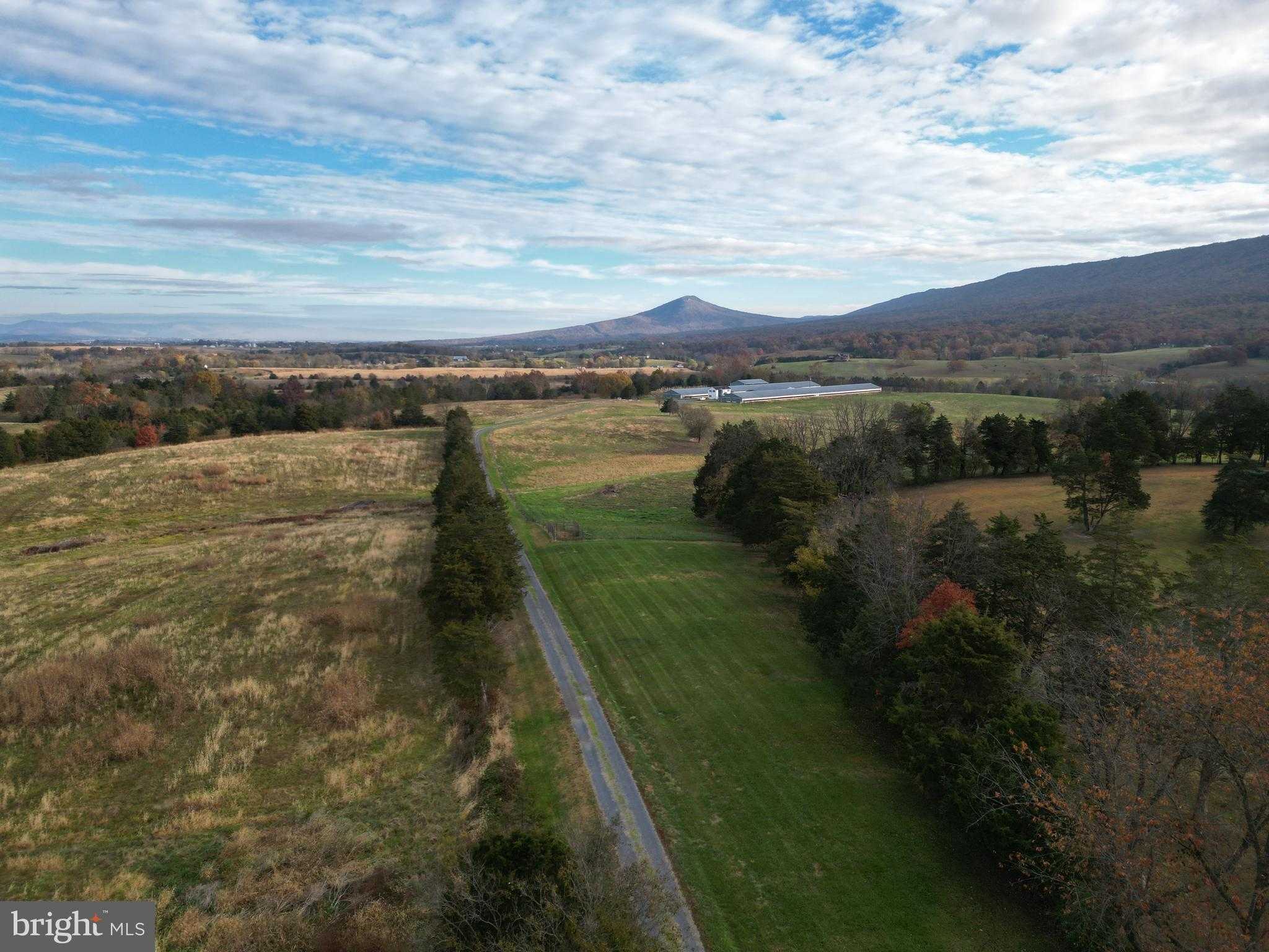 499 E Lee Hwy photo 81