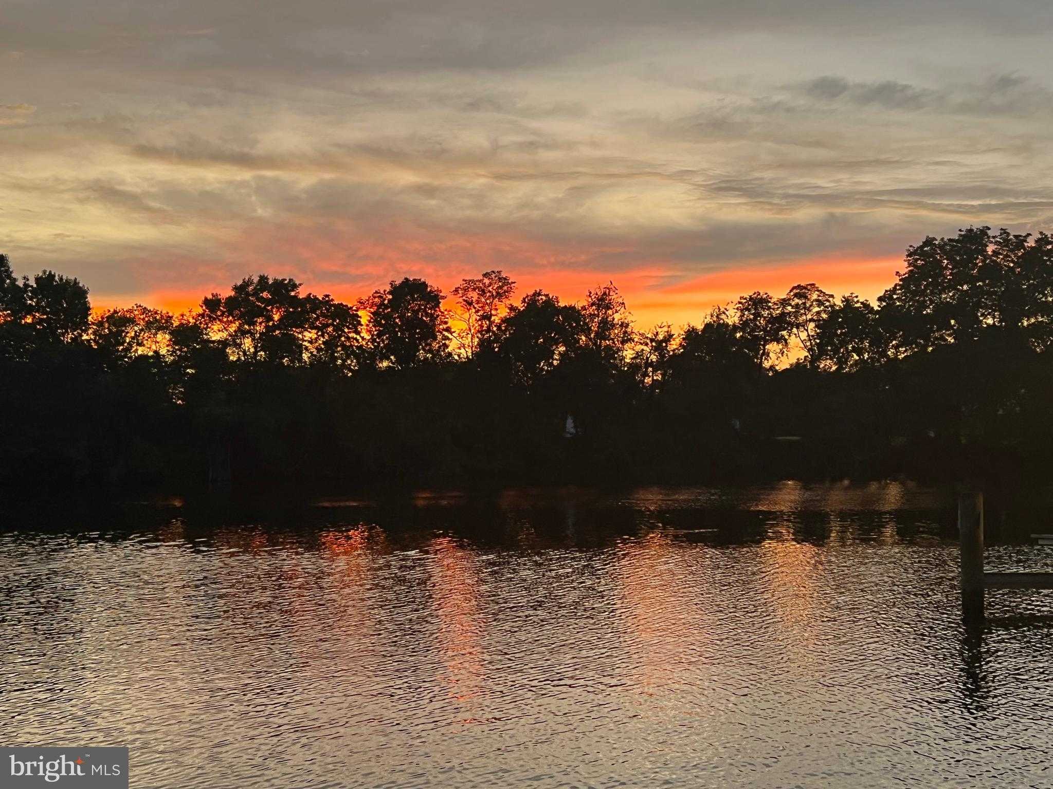 38884 Collinwood Dr photo 47