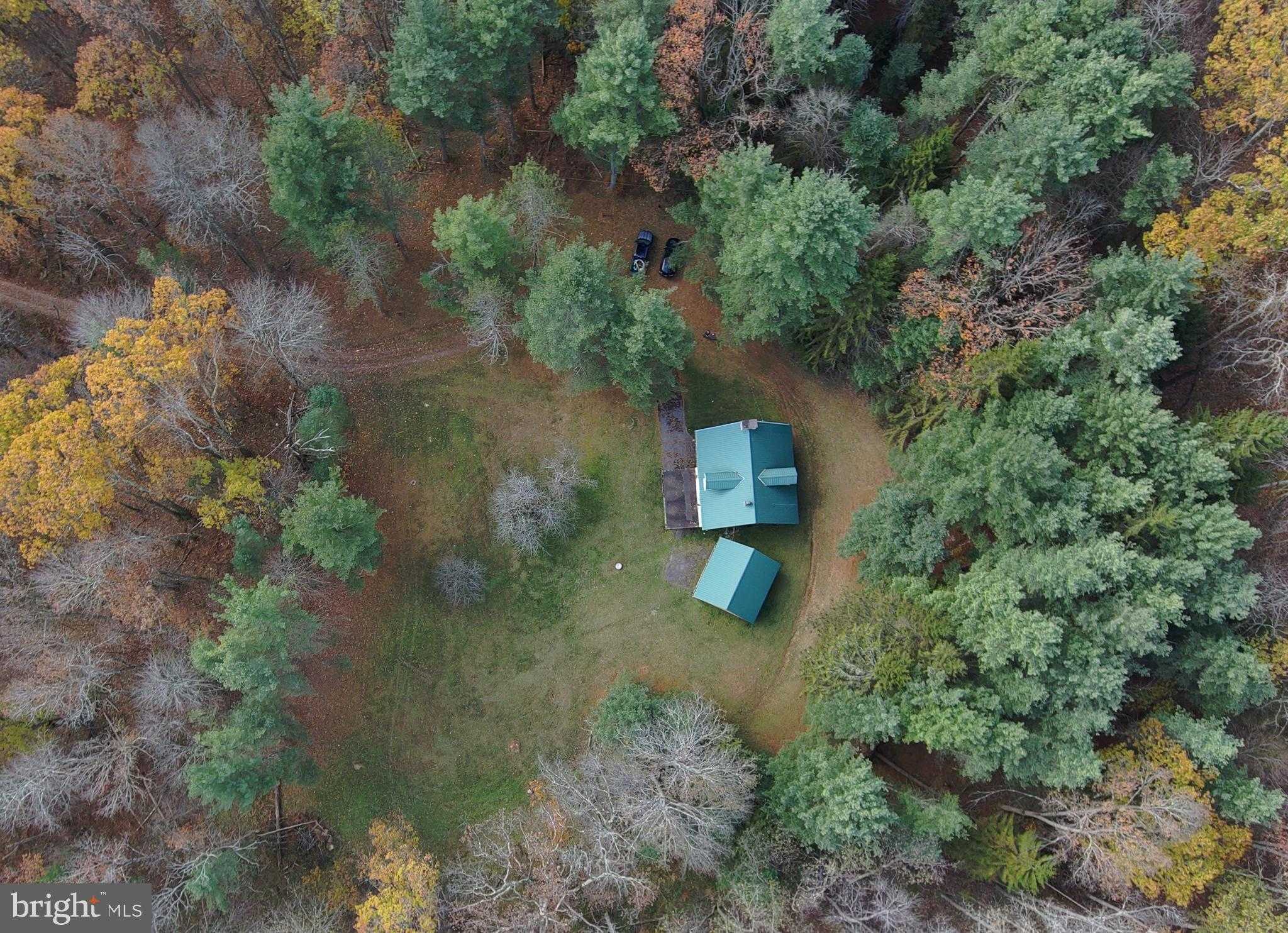 725 Candle Tree Ln photo 5