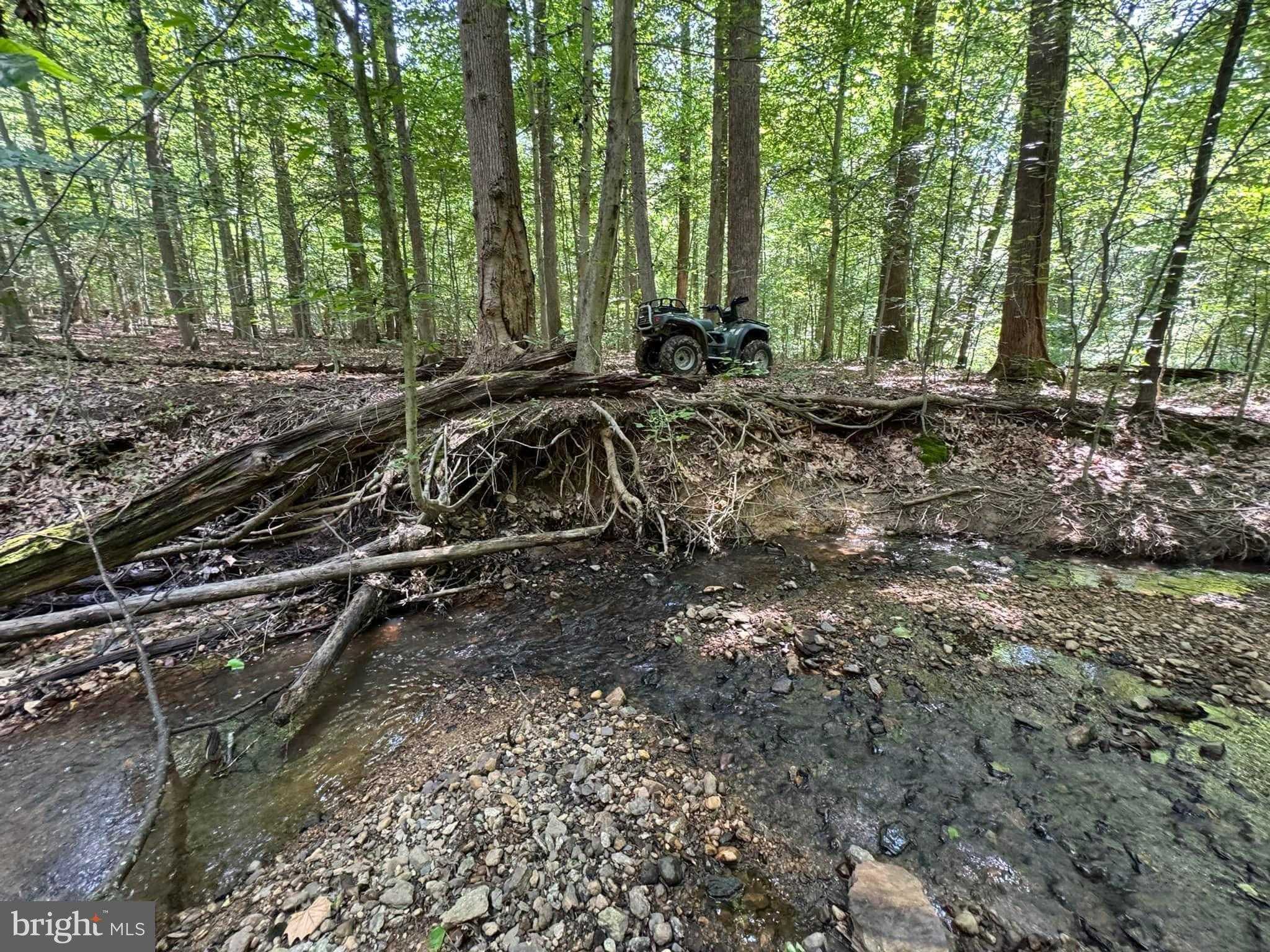 3515 Clayton Rd # B photo 3