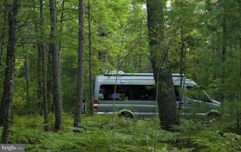 3515 Clayton Rd # B photo 15