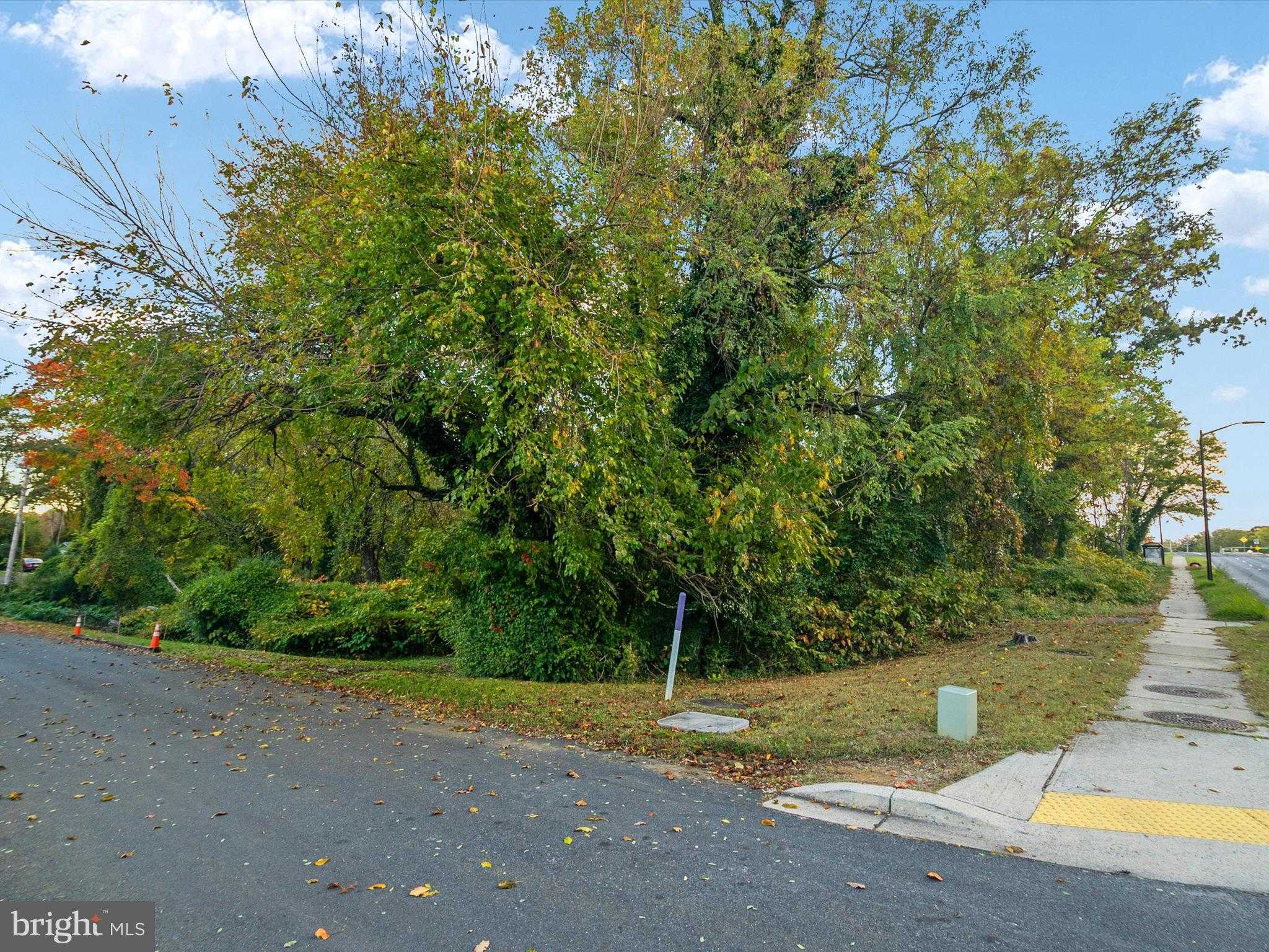 668 N Bestgate Rd photo 3