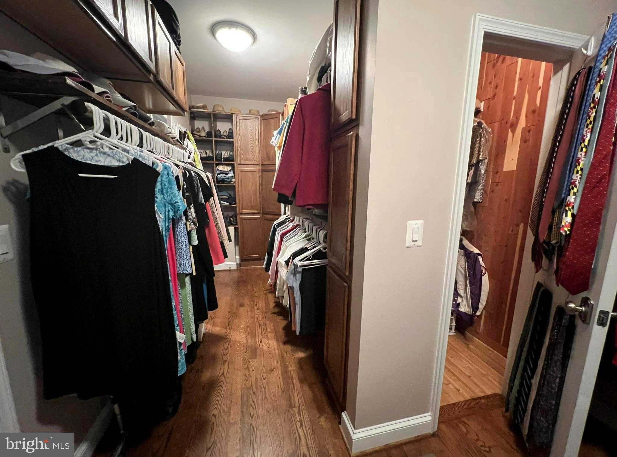 8535 Colleen Dr photo 49