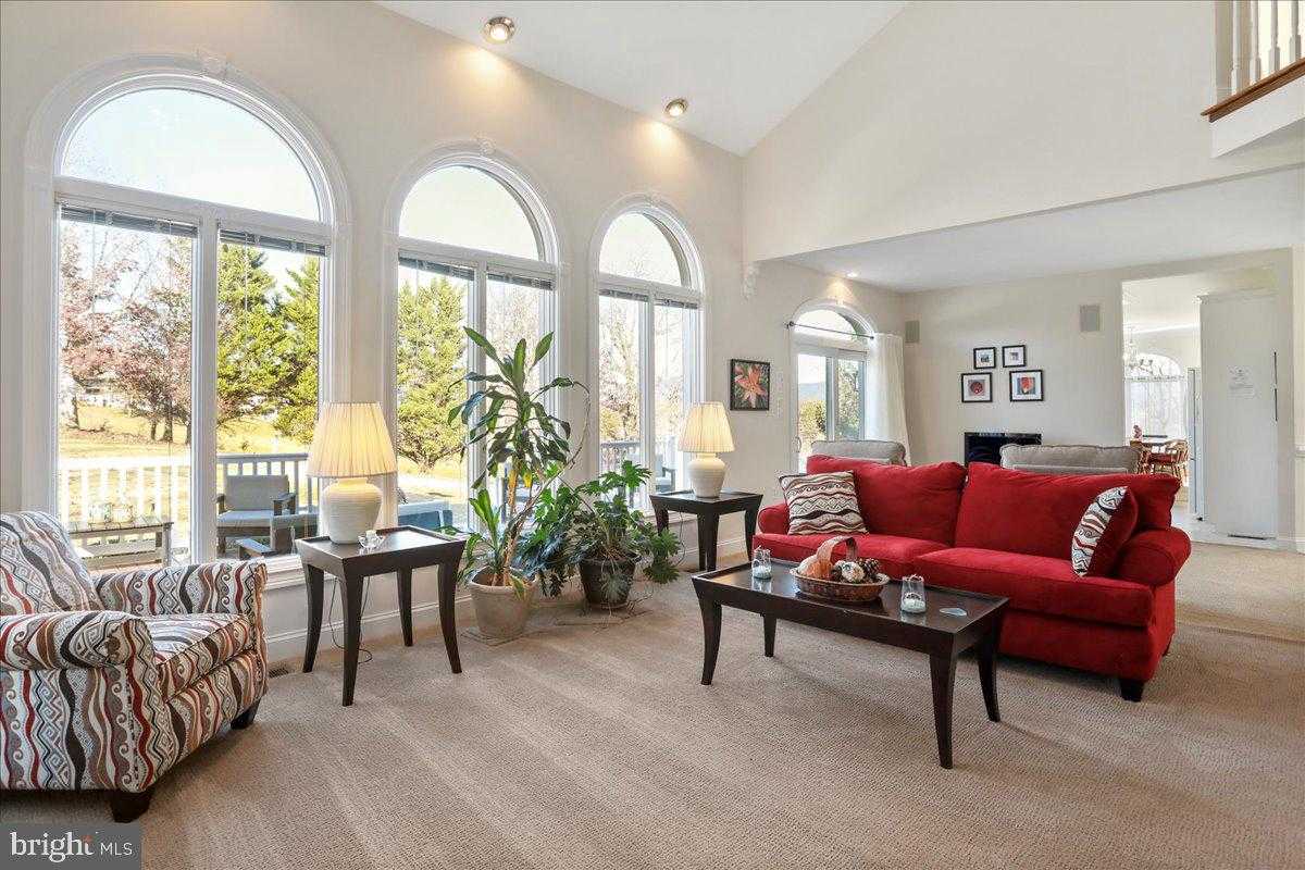 50 Cottage Dr photo 13