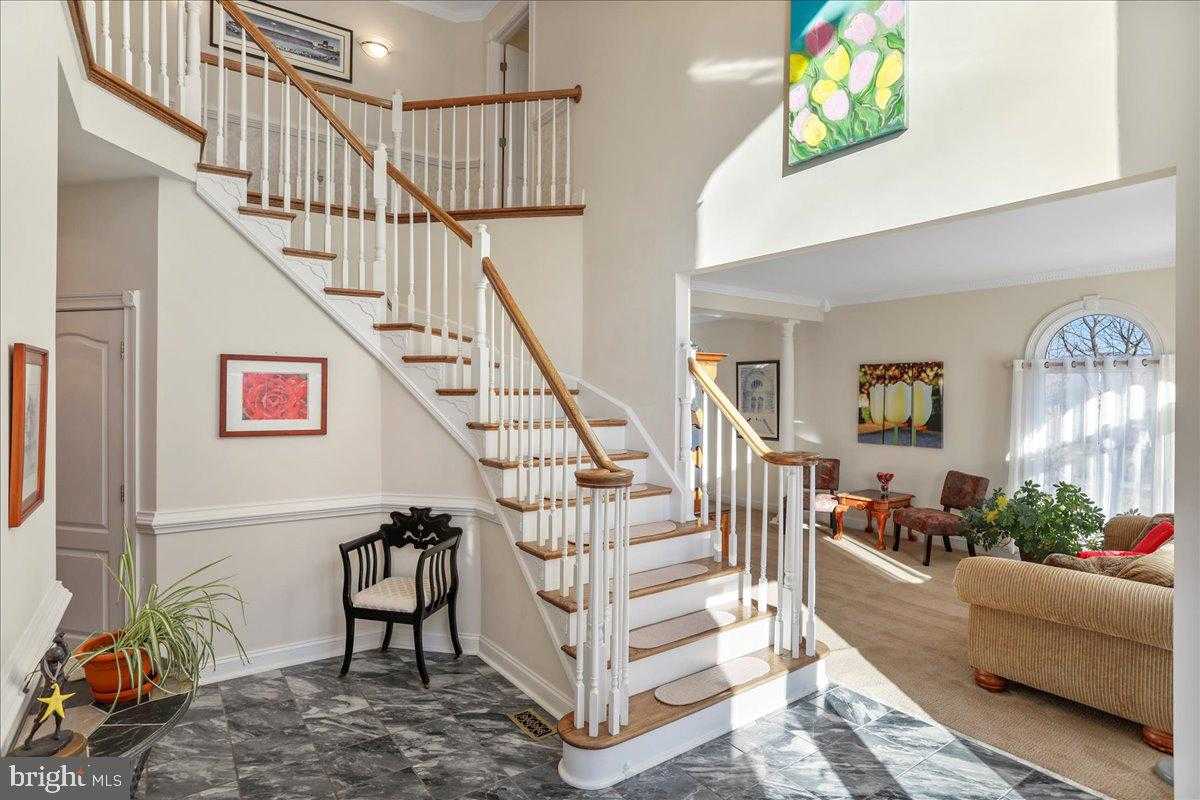 50 Cottage Dr photo 23