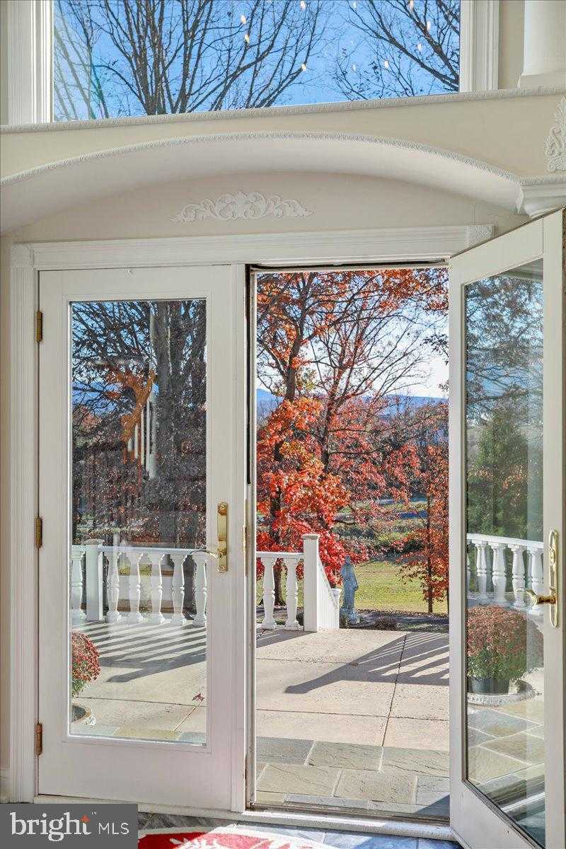 50 Cottage Dr photo 25