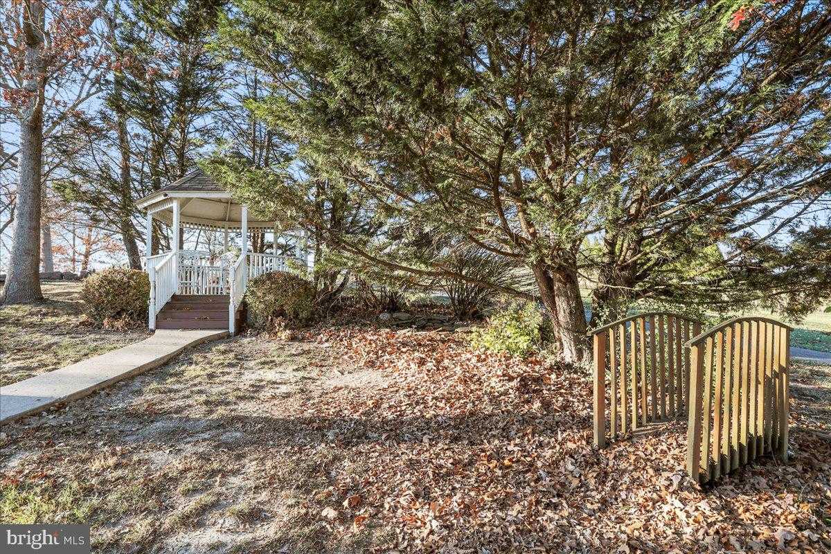 50 Cottage Dr photo 44