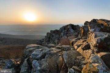 50 Cottage Dr photo 62