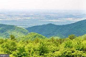 50 Cottage Dr photo 63