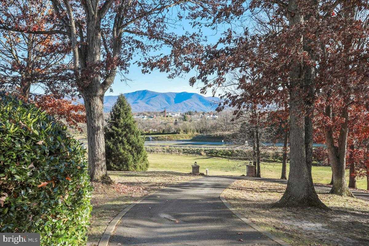 50 Cottage Dr photo 7