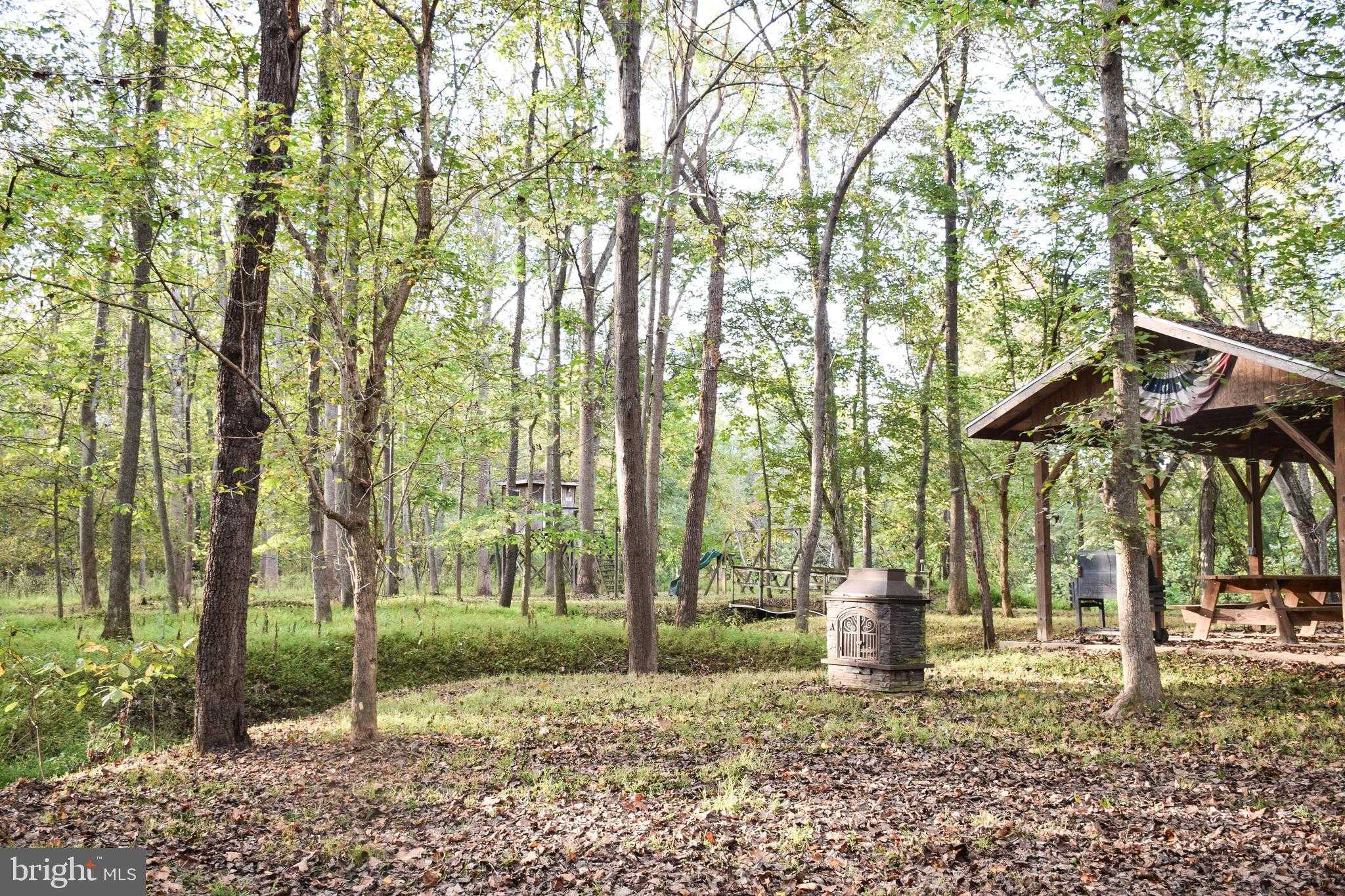 97 Elnina Dr photo 100