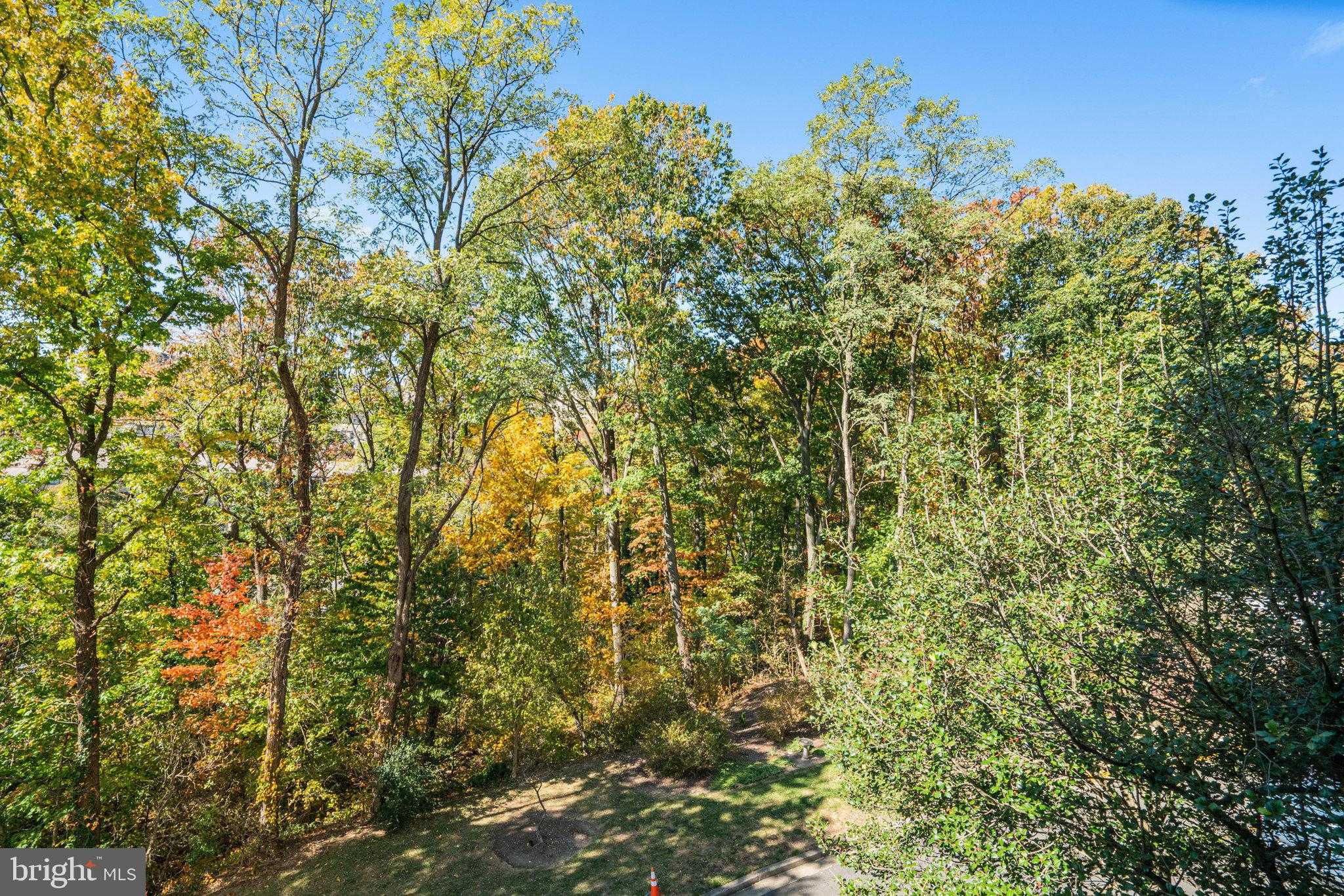 6101 Edsall Rd Apt 312 photo 32