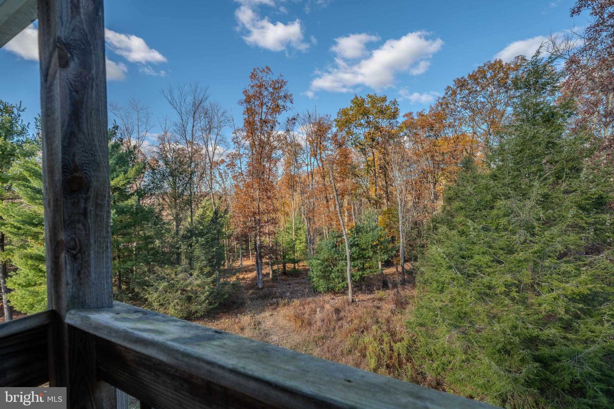 644 Madisonburg Pike photo 25