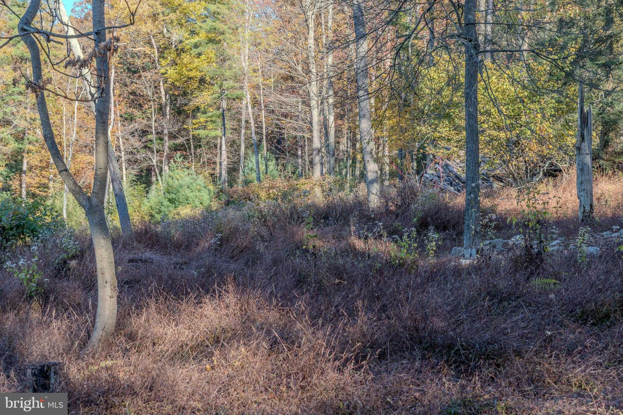 644 Madisonburg Pike photo 42