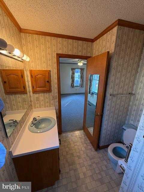 507 Bainbridge Pl photo 19