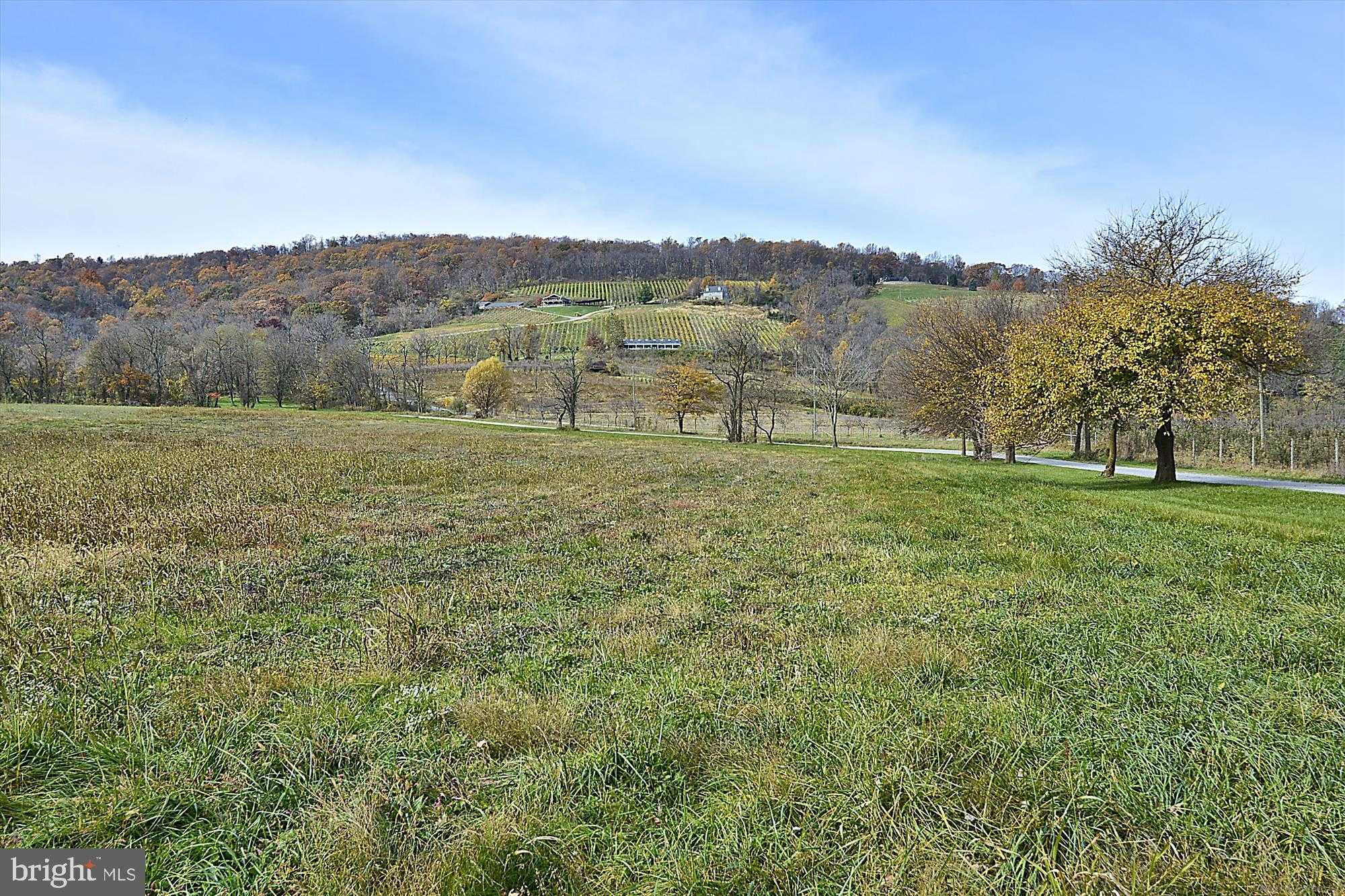 598 Timber Ln photo 41