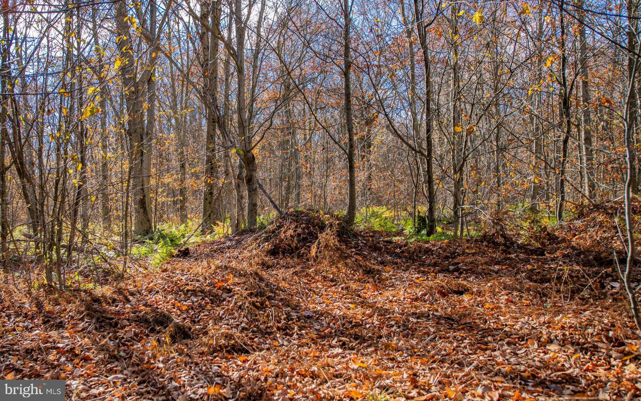 Glory Ridge Rd photo 3