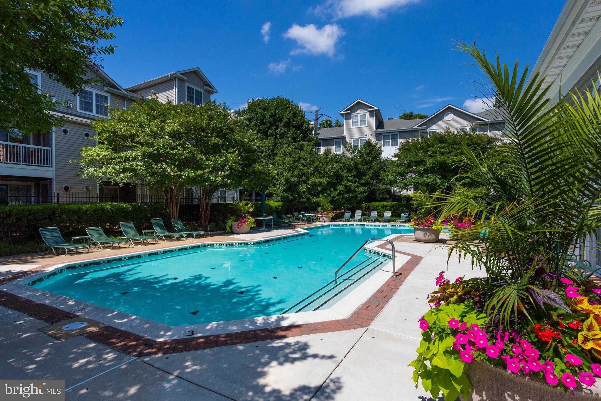 12912 Fair Briar Ln photo 47