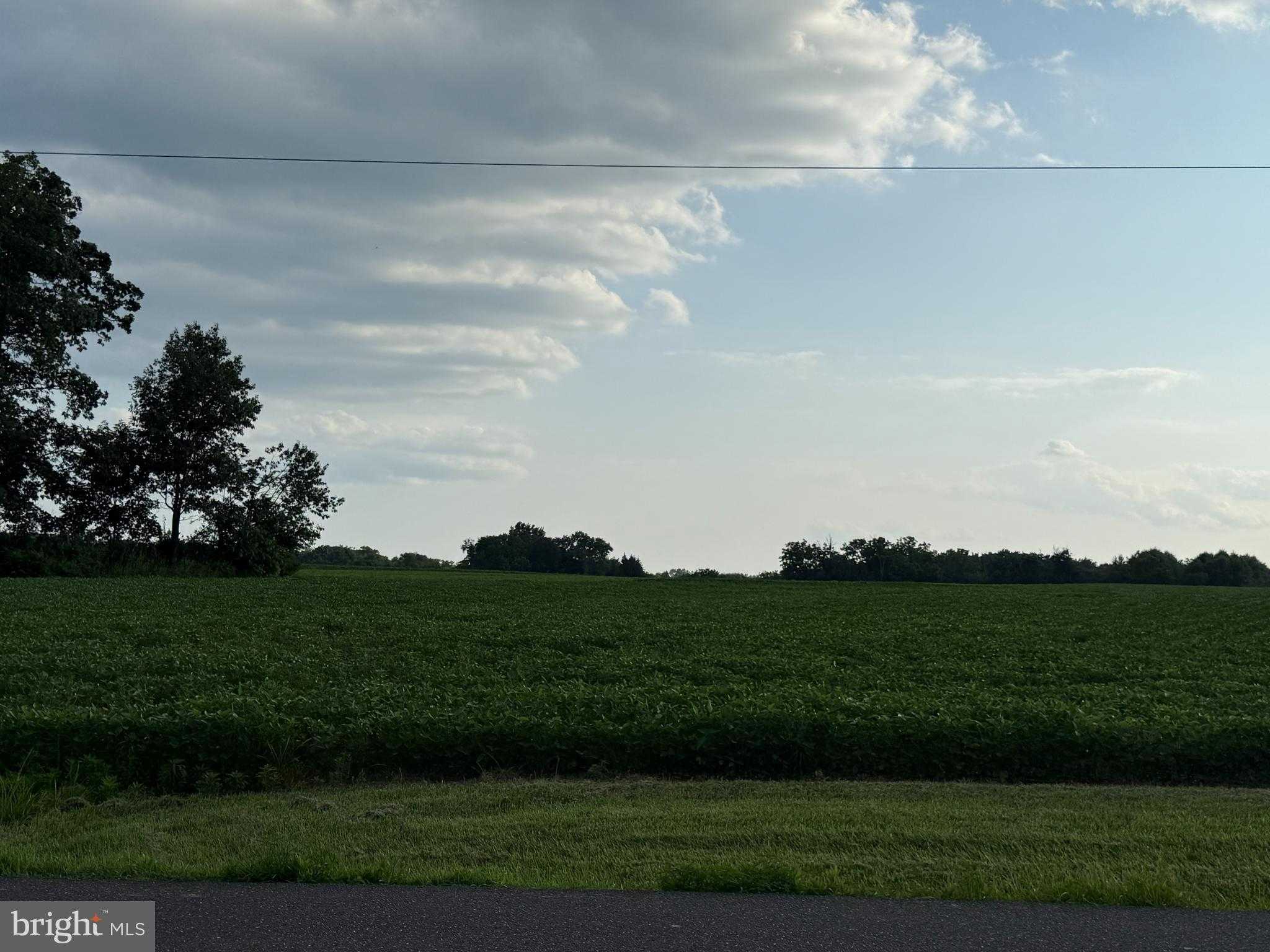 920 Minsi Trl photo 2