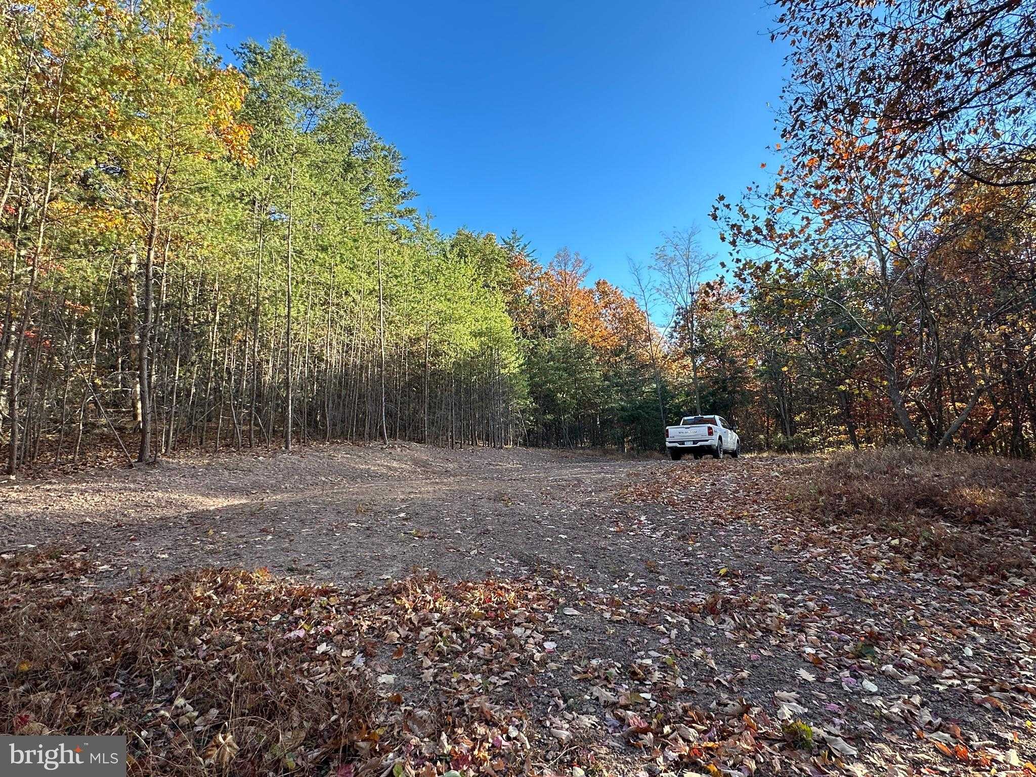 136 Ashton Woods Dr photo 17