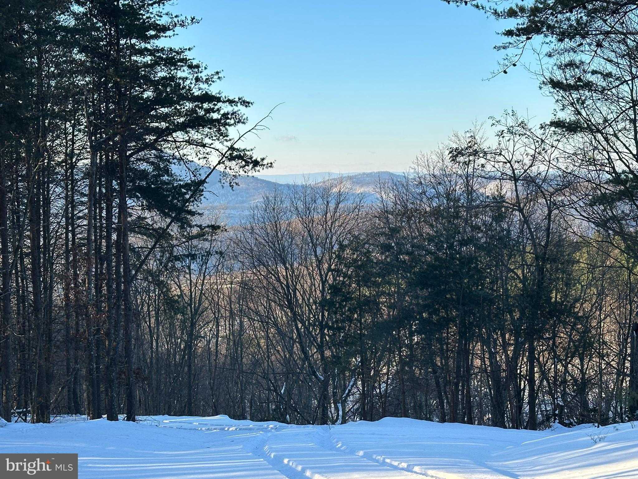 136 Ashton Woods Dr photo 18