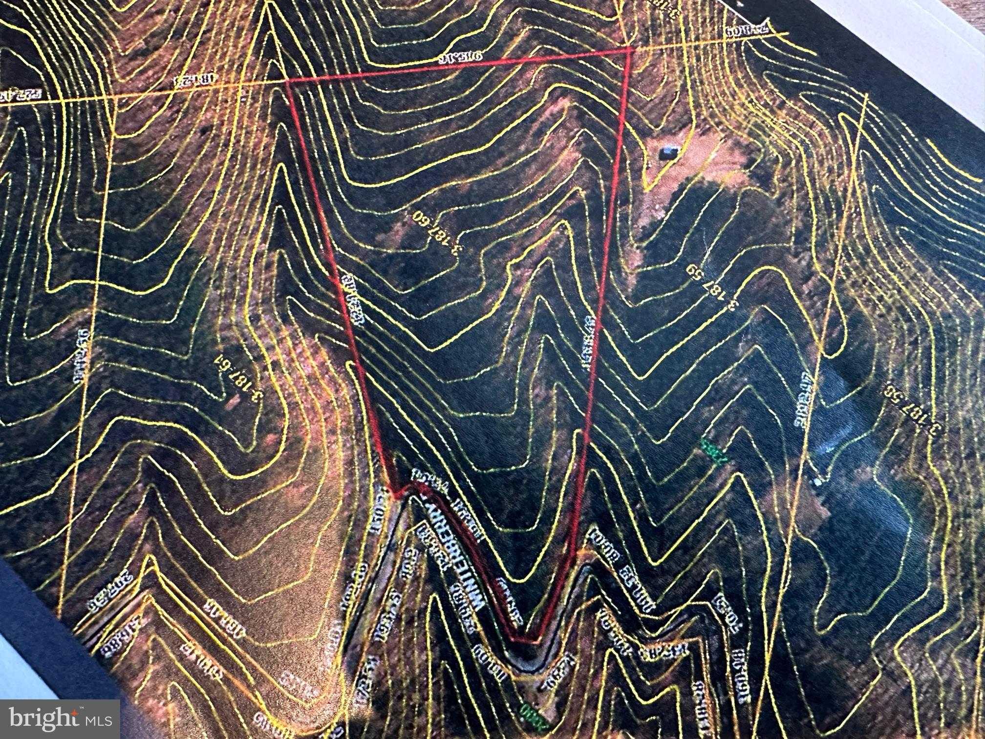 136 Ashton Woods Dr photo 8