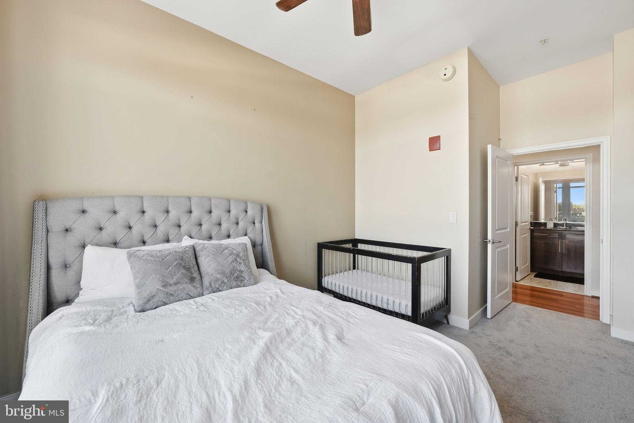 155 Potomac Psge # Ph05 photo 16