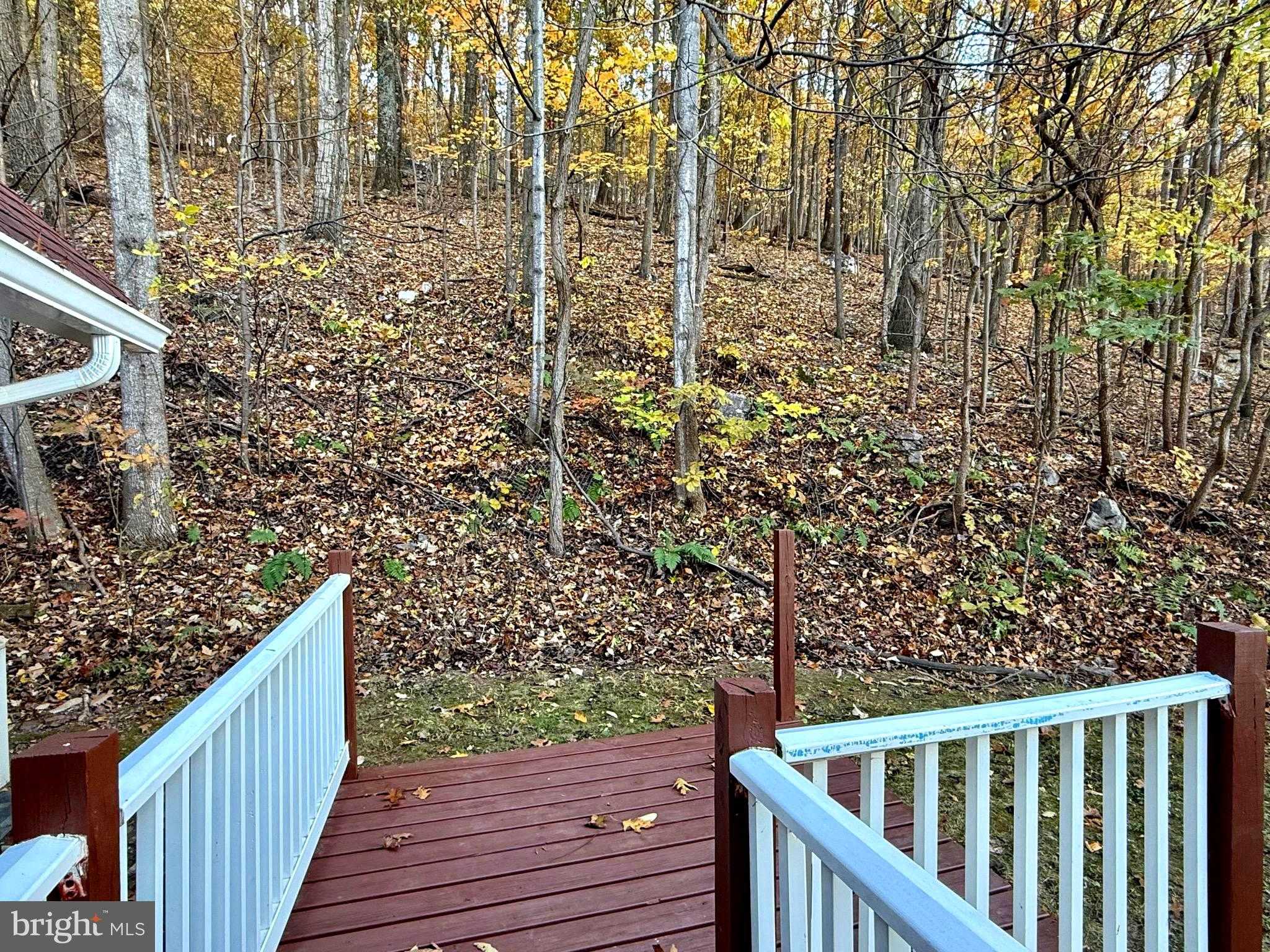 646 Glenwood Ln photo 15