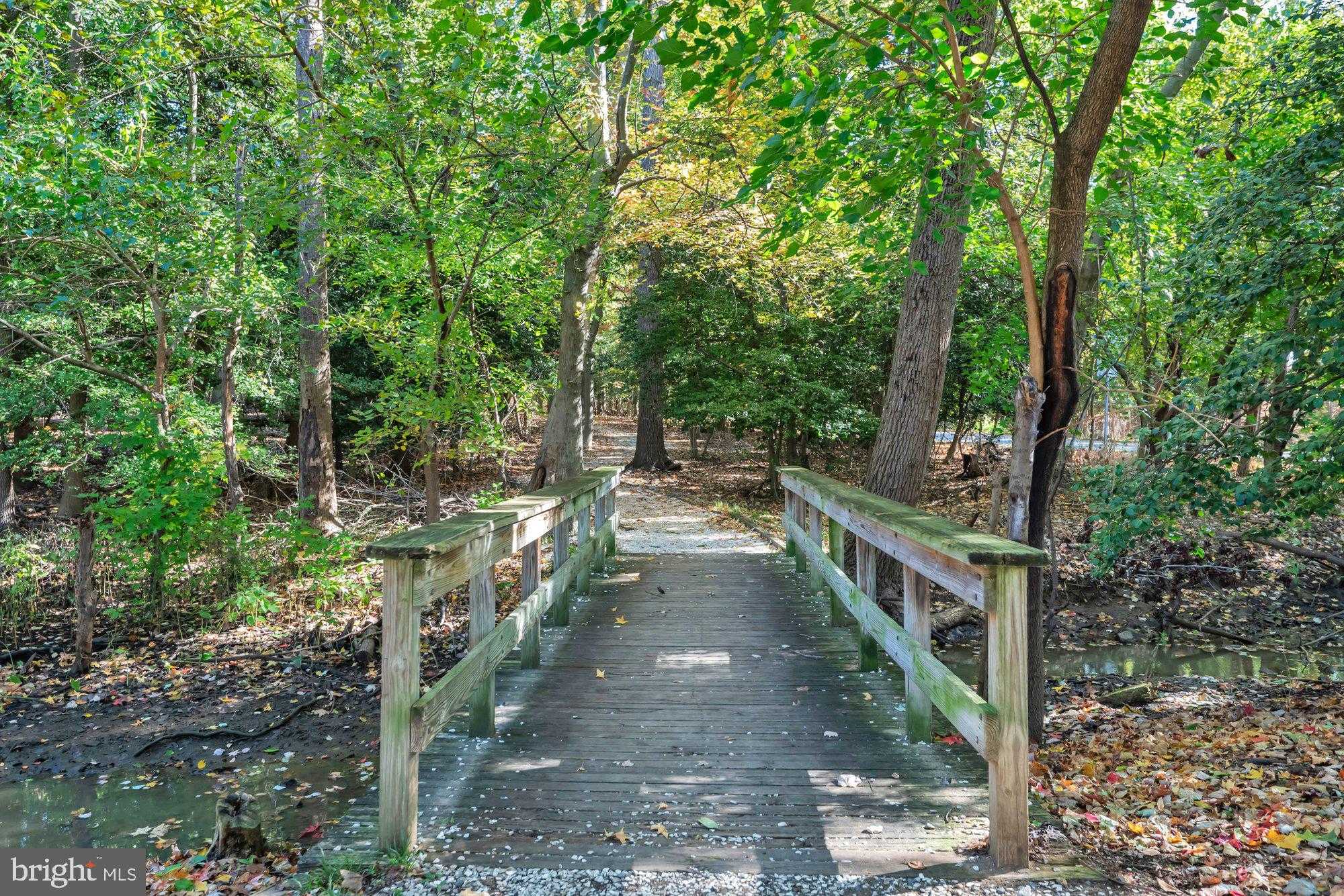 1005 Hyde Park Dr photo 43